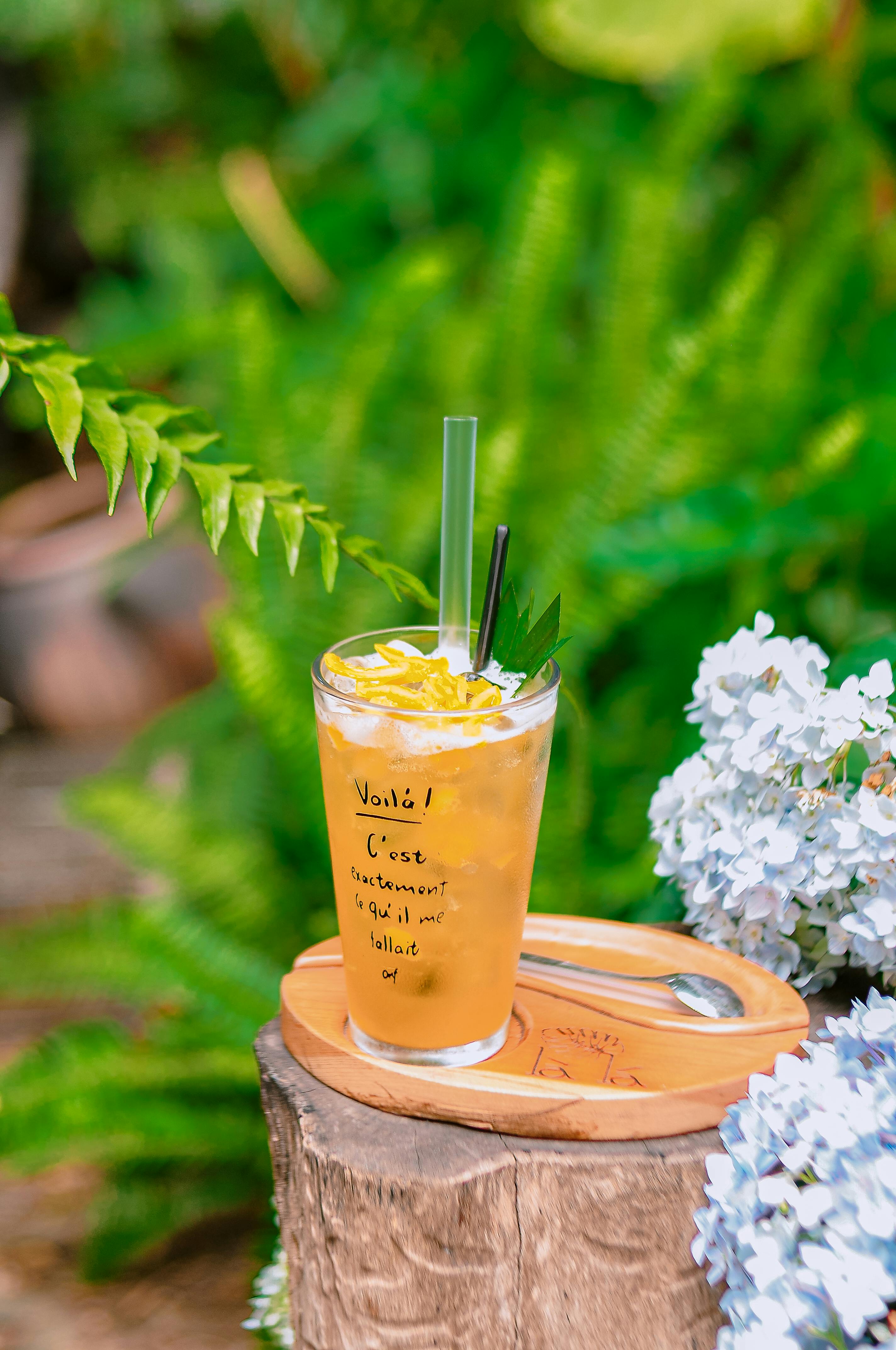 Refreshing Iced Citrus Drink Outdoors