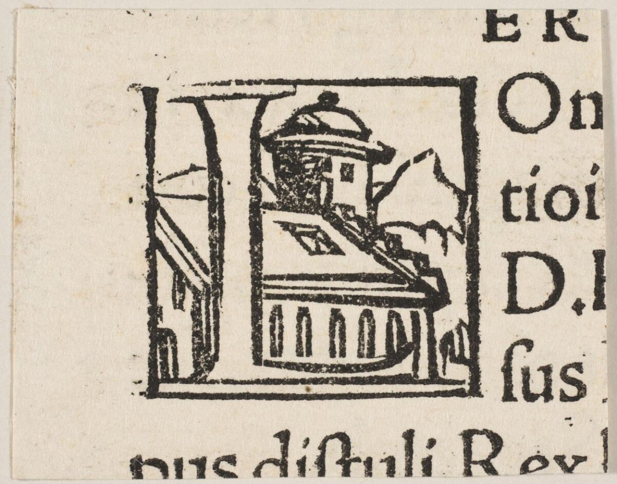 Antique Woodcut Decorated Initial N