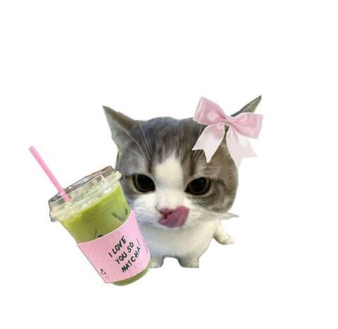 Cute Cat With Iced Matcha Drink