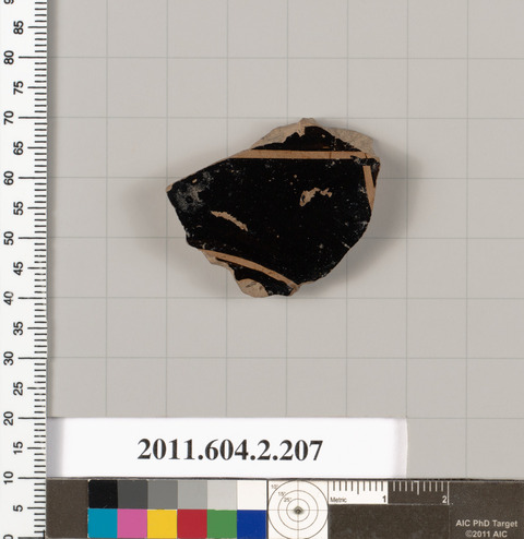 Cataloged Pottery Shard Artifact