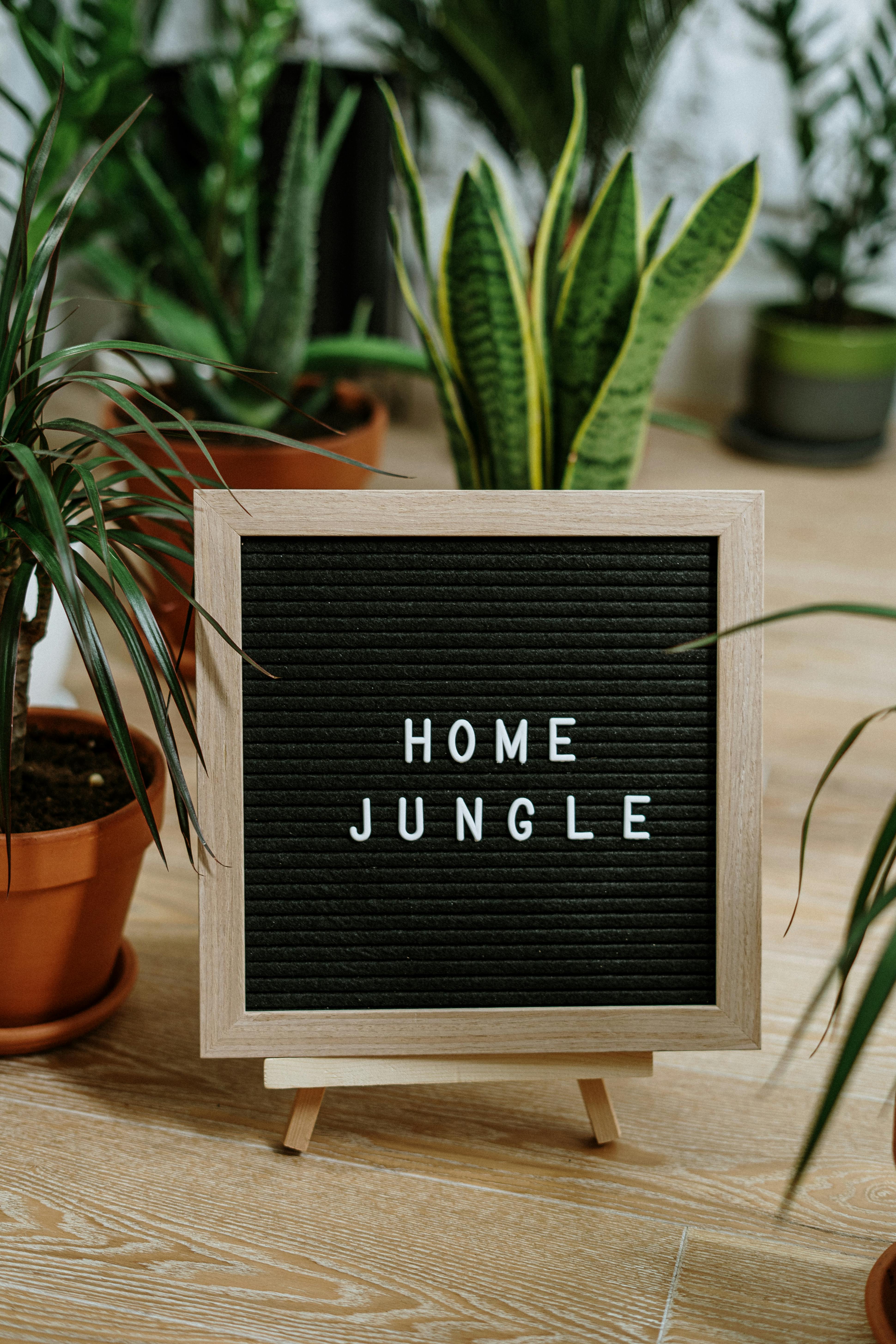 Home Decoration