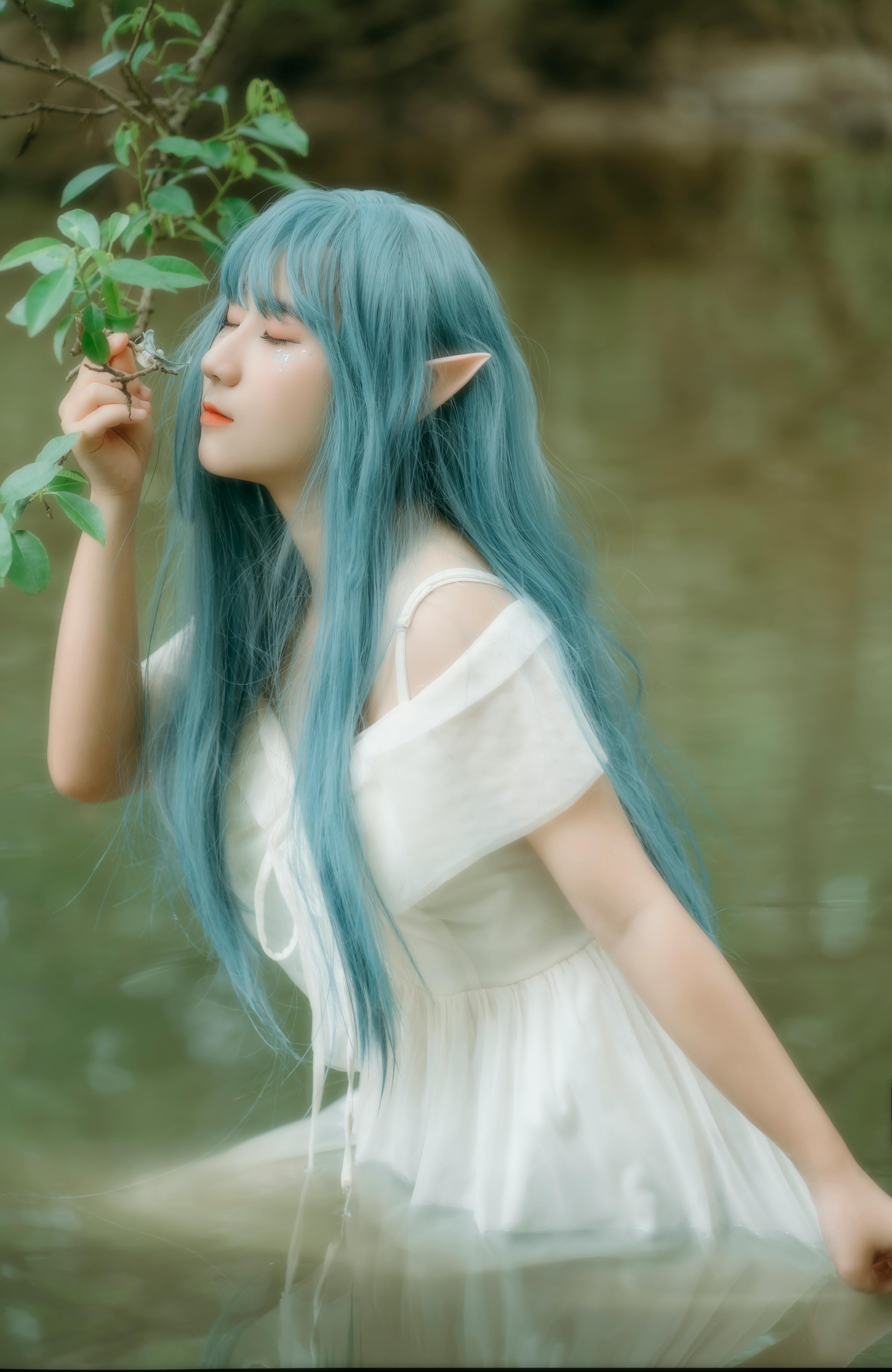 Forest & Flora