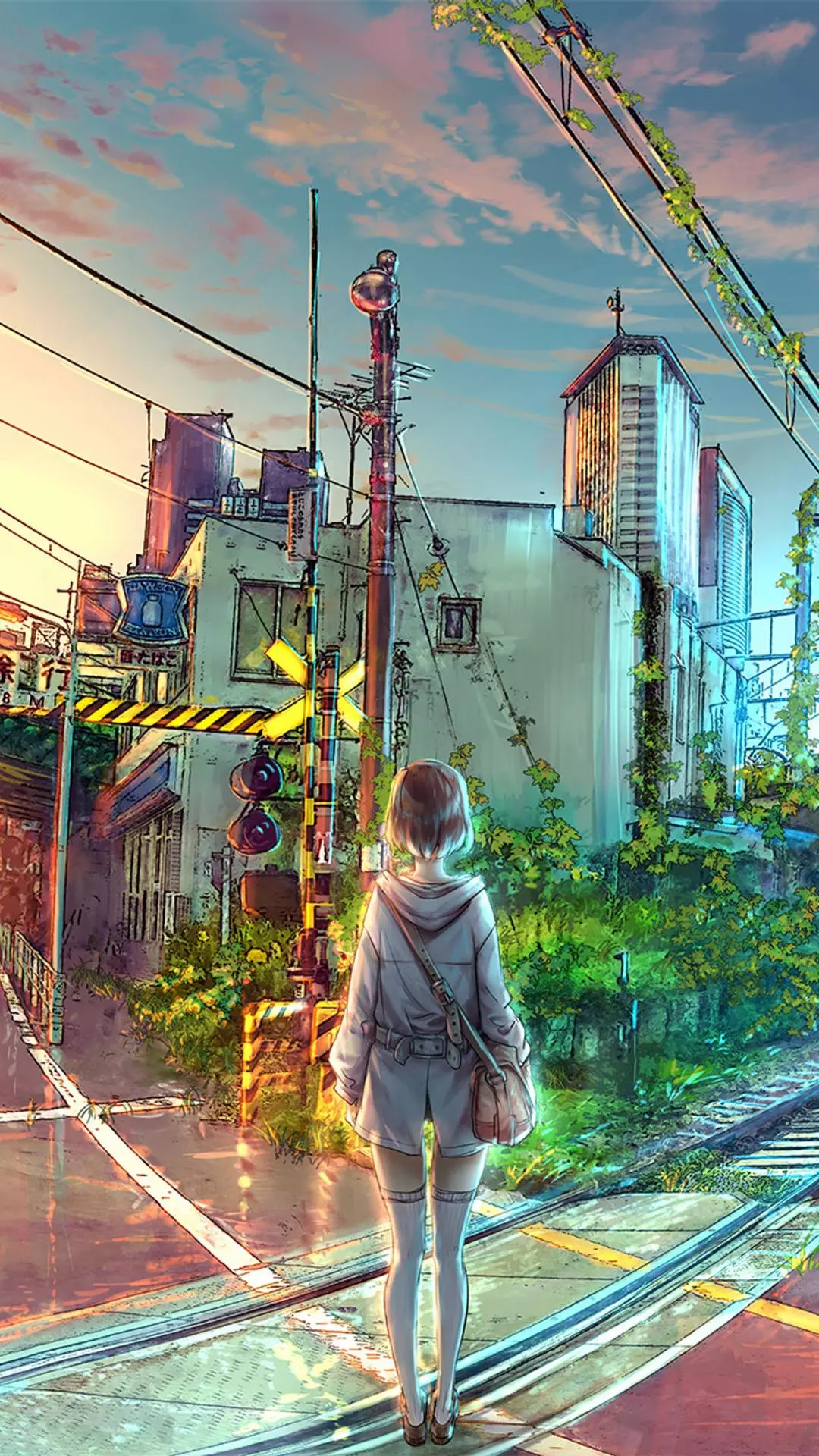 Wallpapers