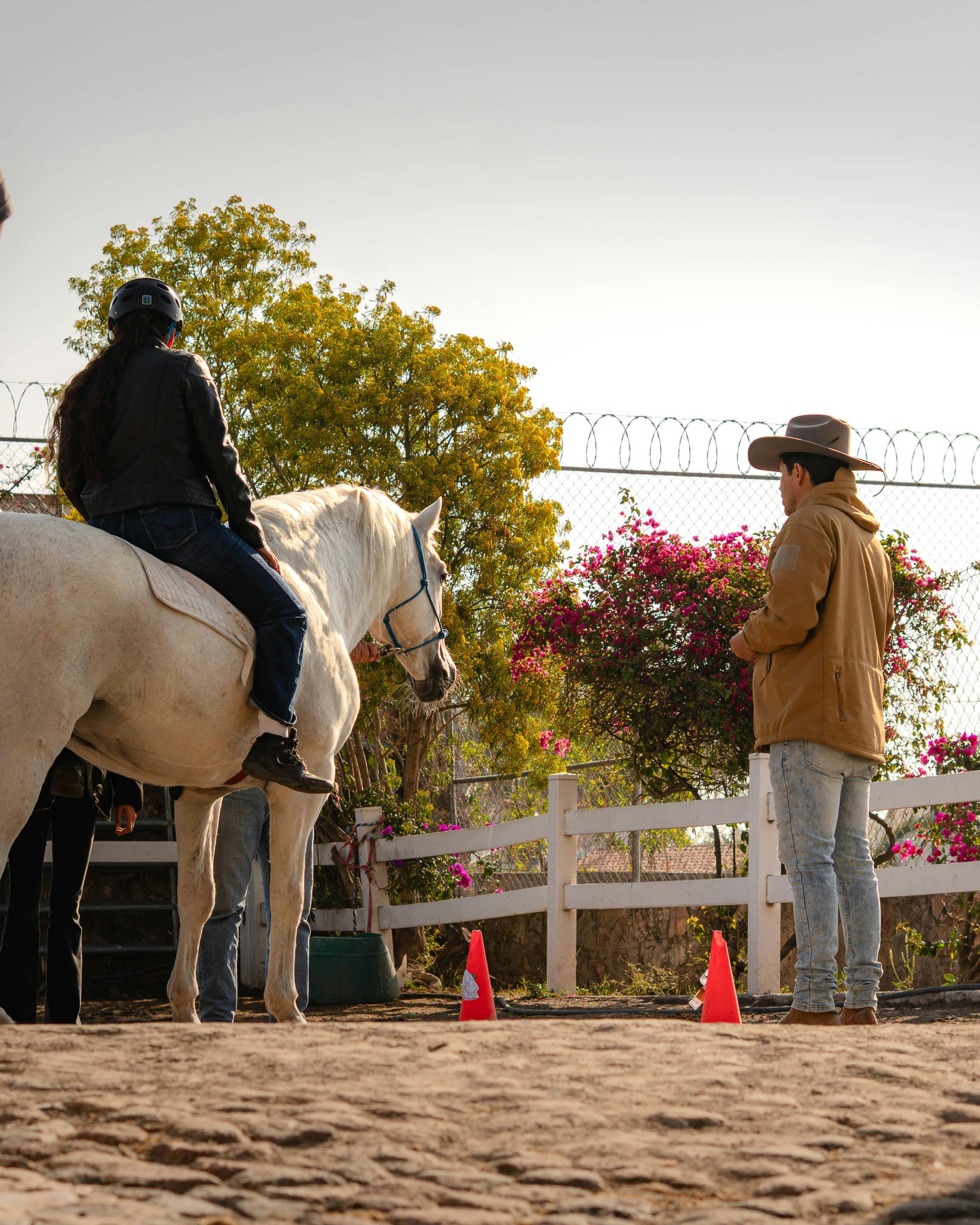 Outdoor Horse Riding Lesson