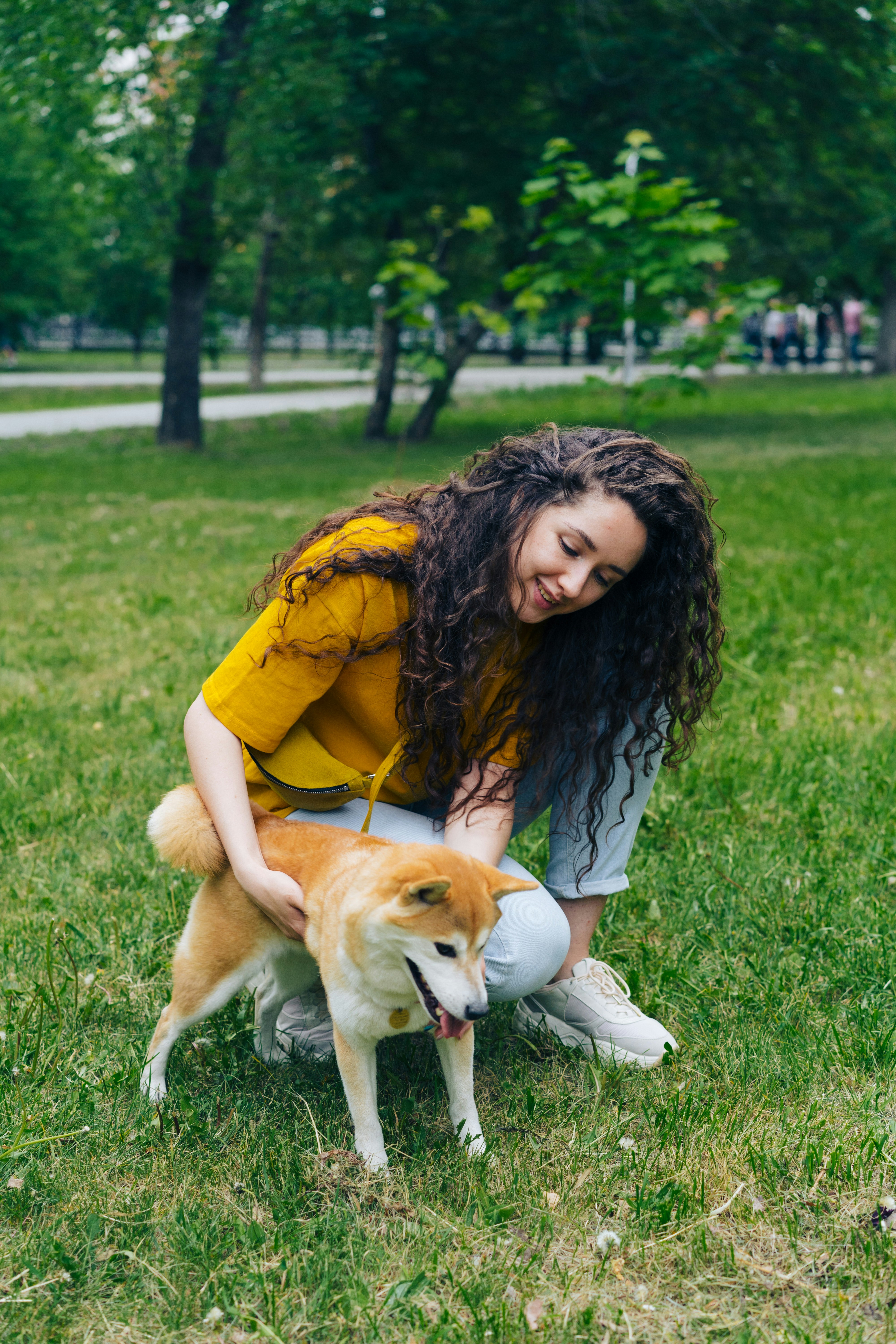 Woman Petting Shiba Inu In Park