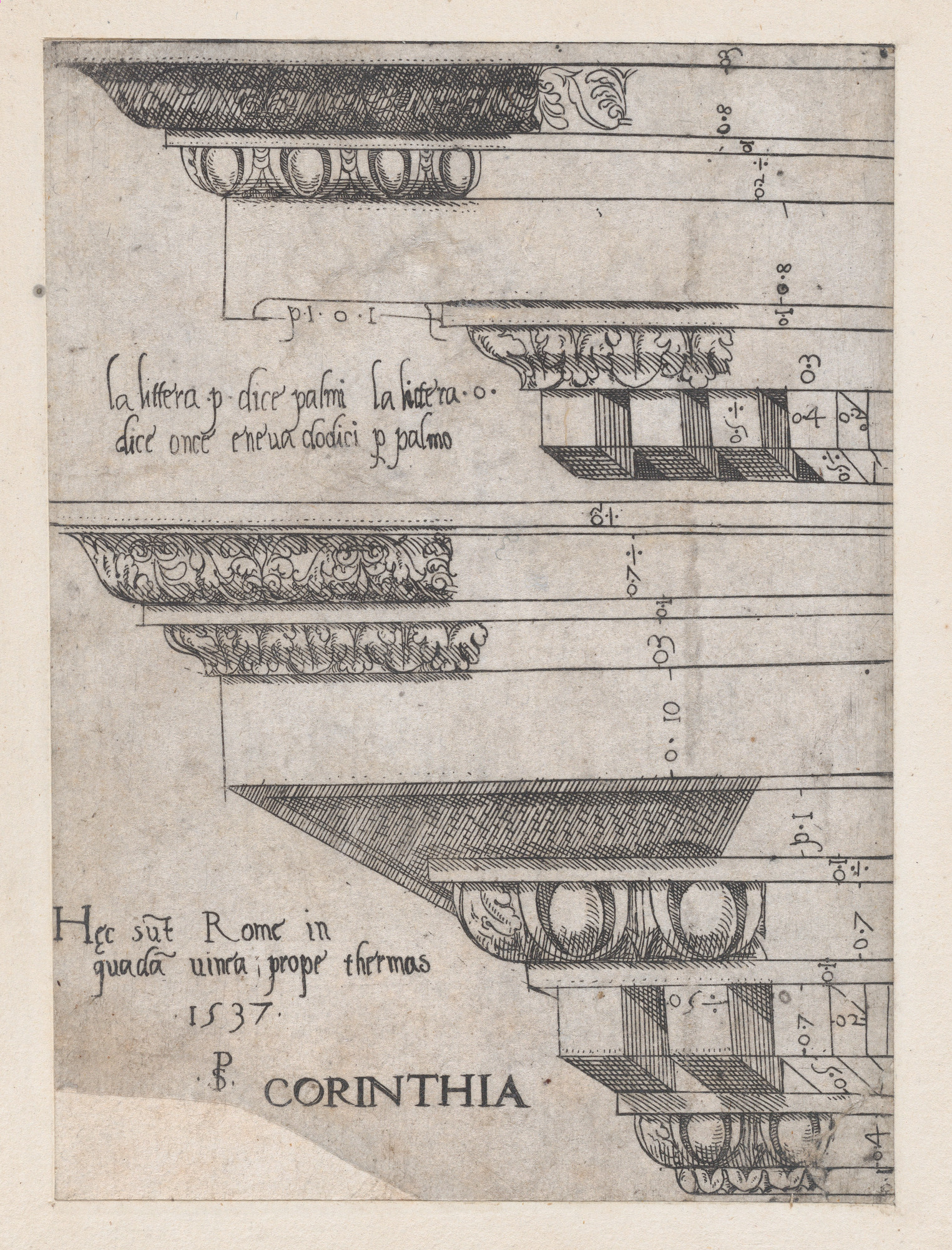 1537 Corinthian Architectural Drawing