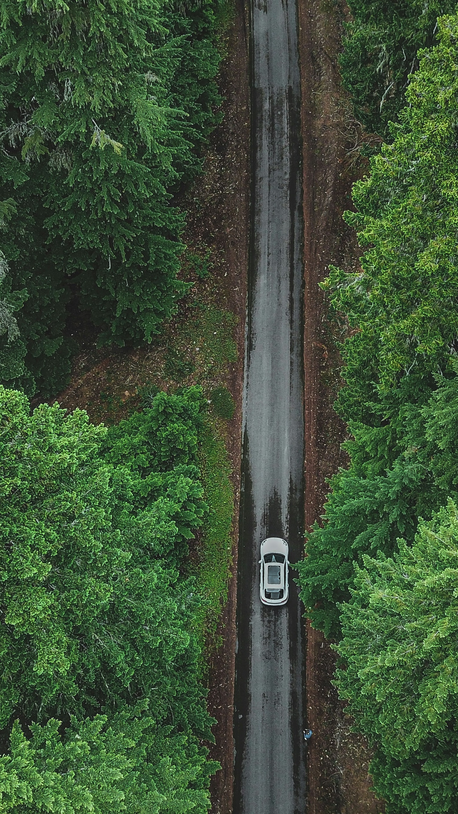 Wallpapers