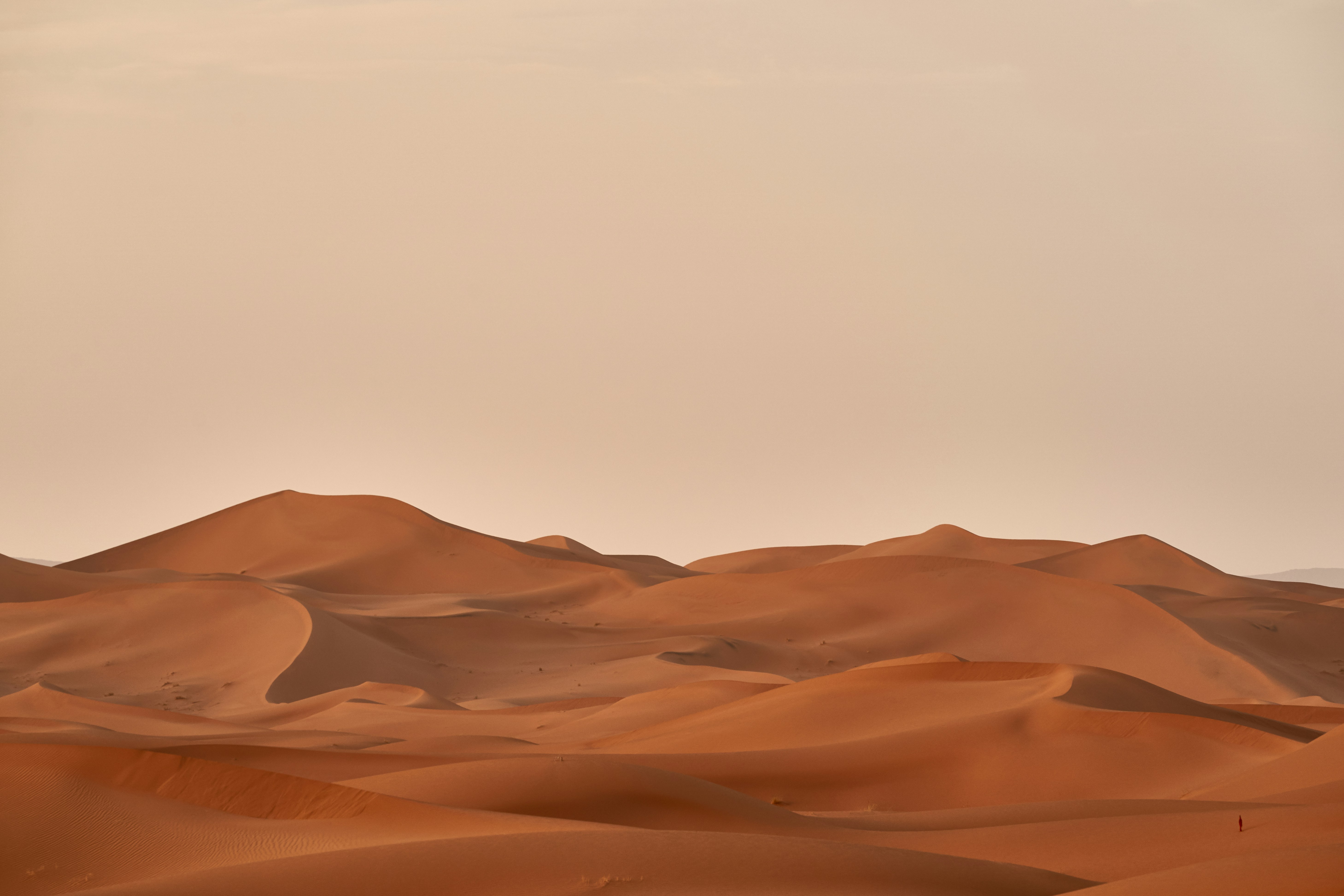 Vast Desert Sand Dunes