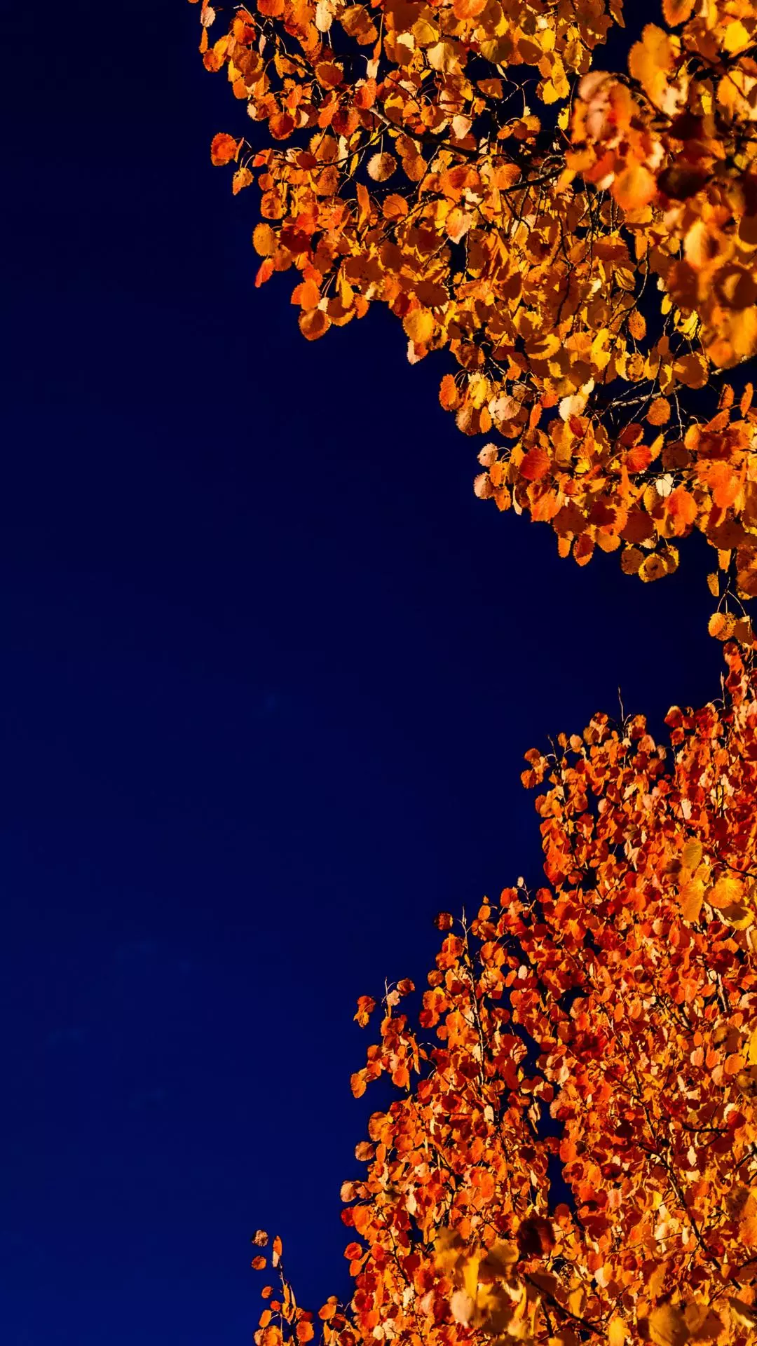 Sky Series