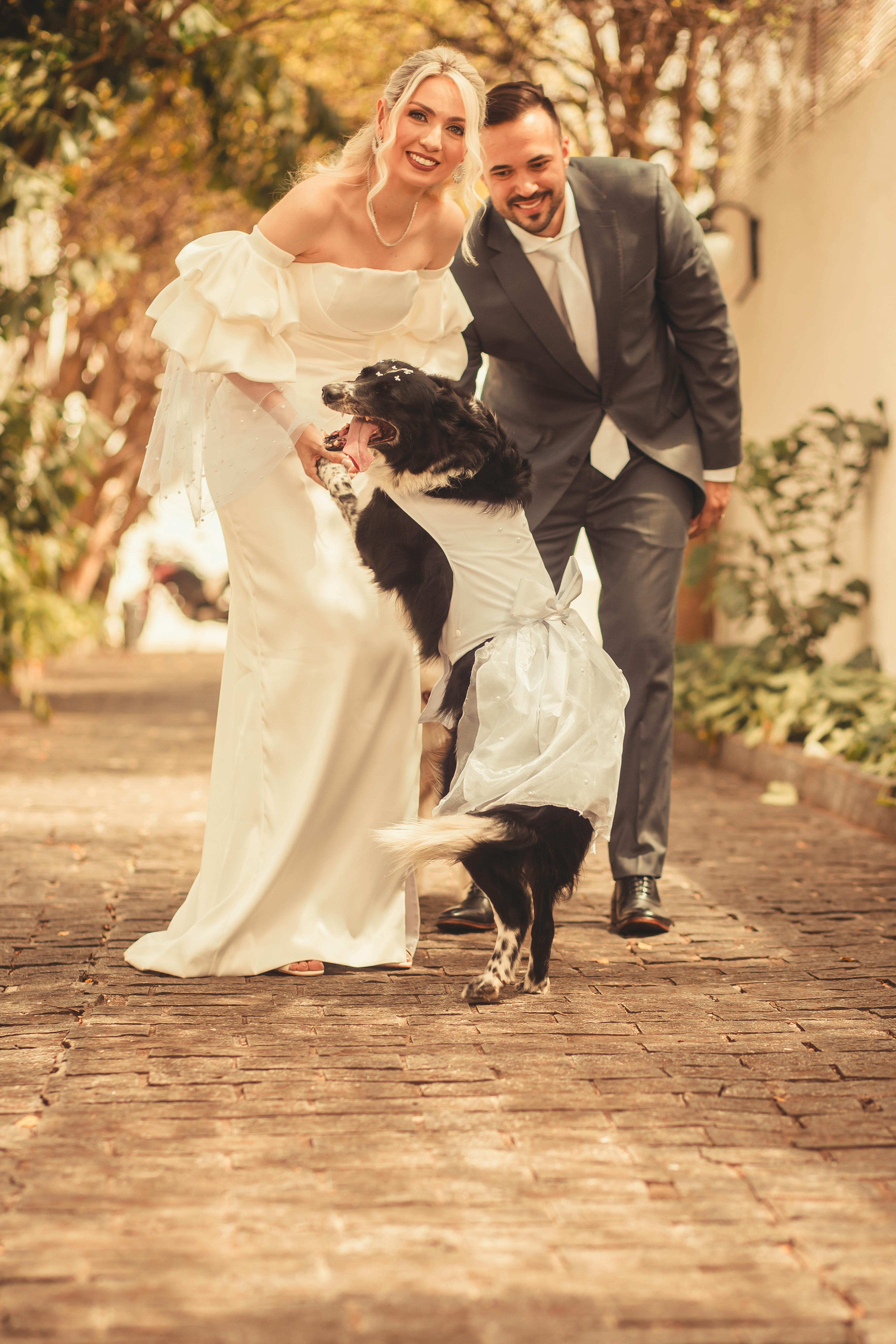Wedding Couple With Dressed Up Dog