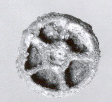 Ancient Circular Seal Impression
