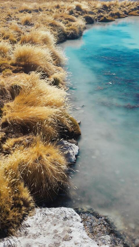 Turquoise River with Golden Grassy Banks
