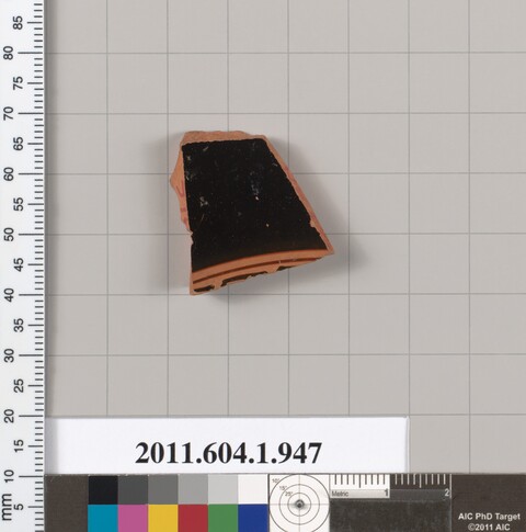 Ancient Pottery Fragment Specimen