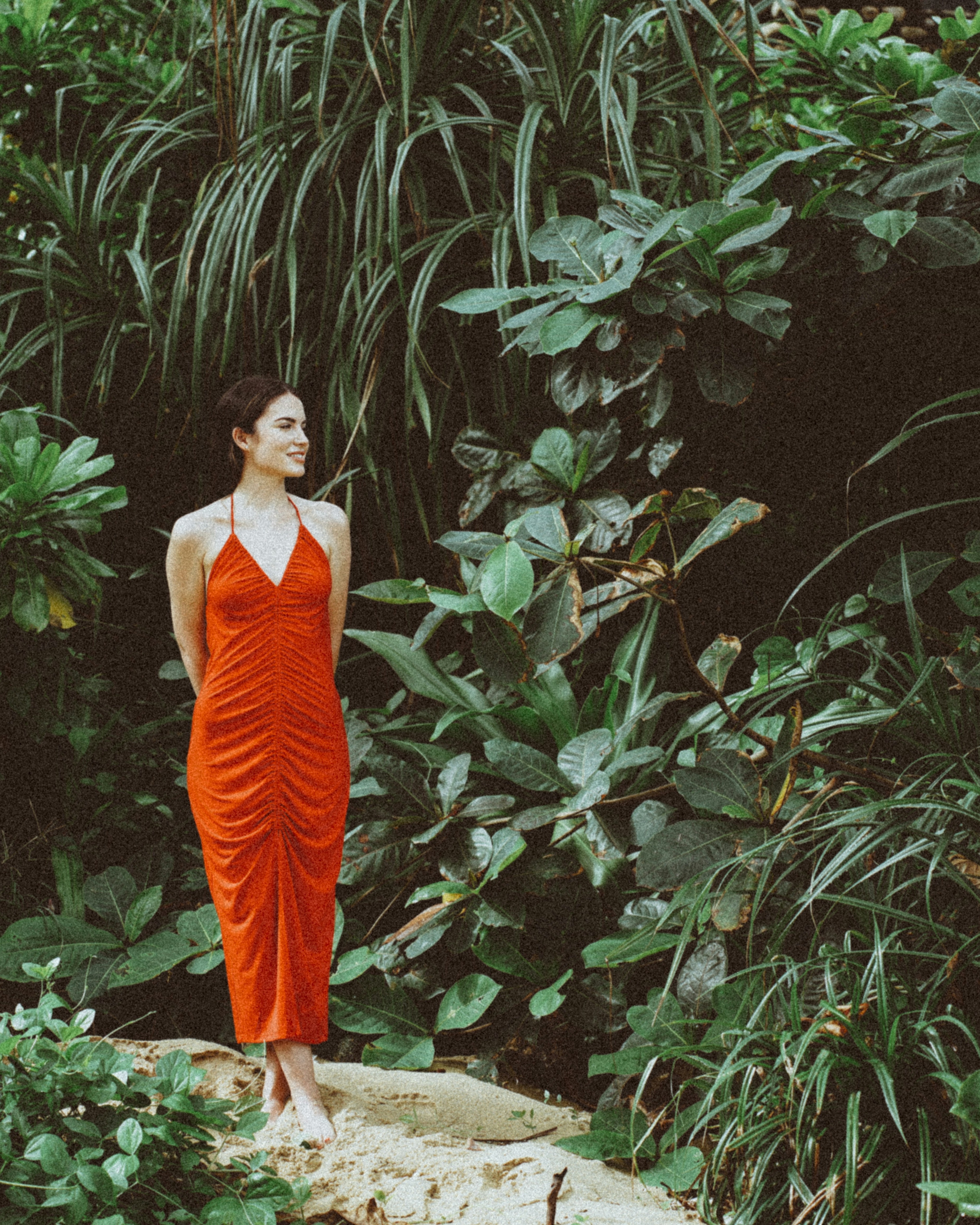 Forest & Flora