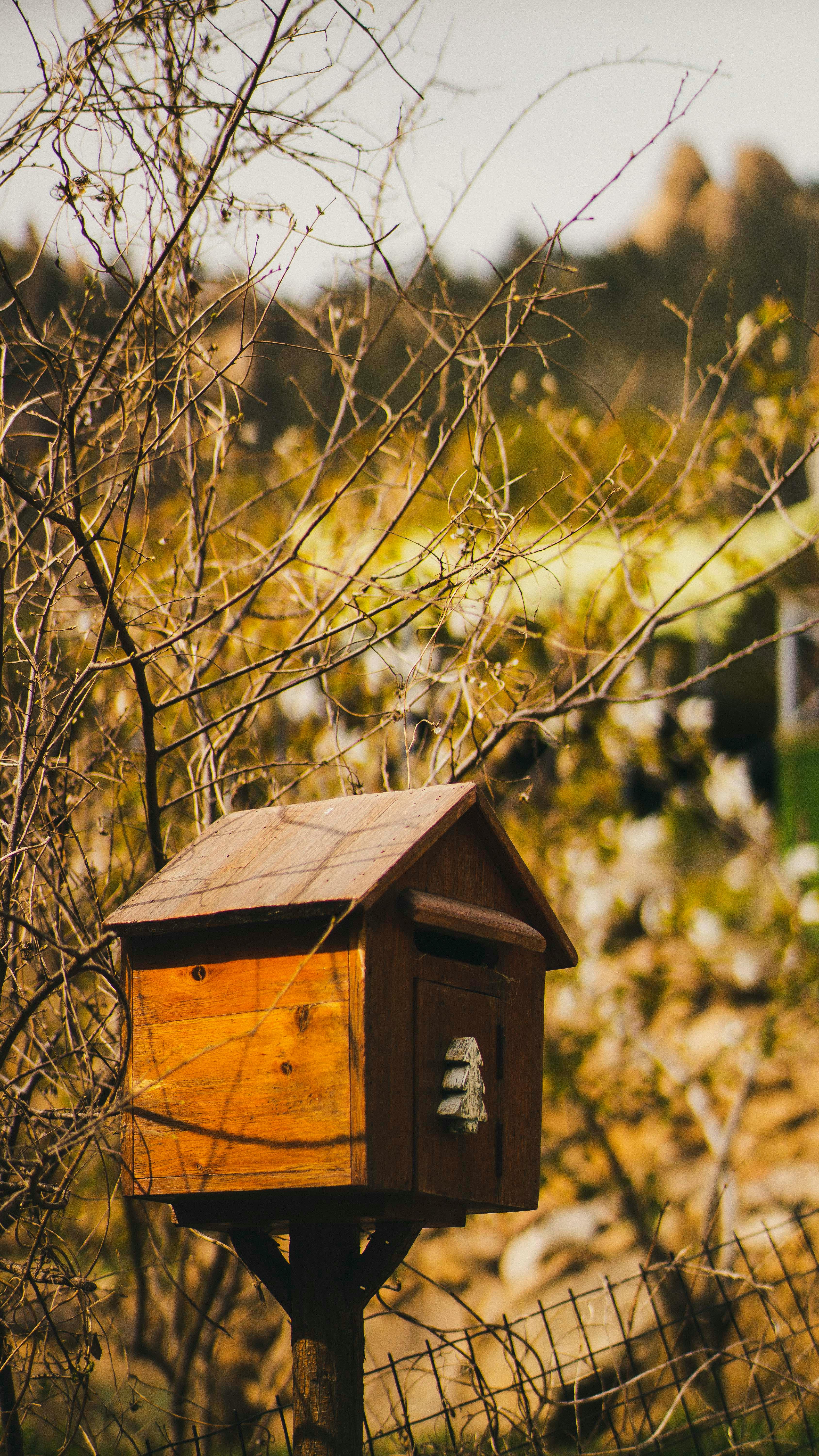 Wooden Birdhouse Among Dry Twigs