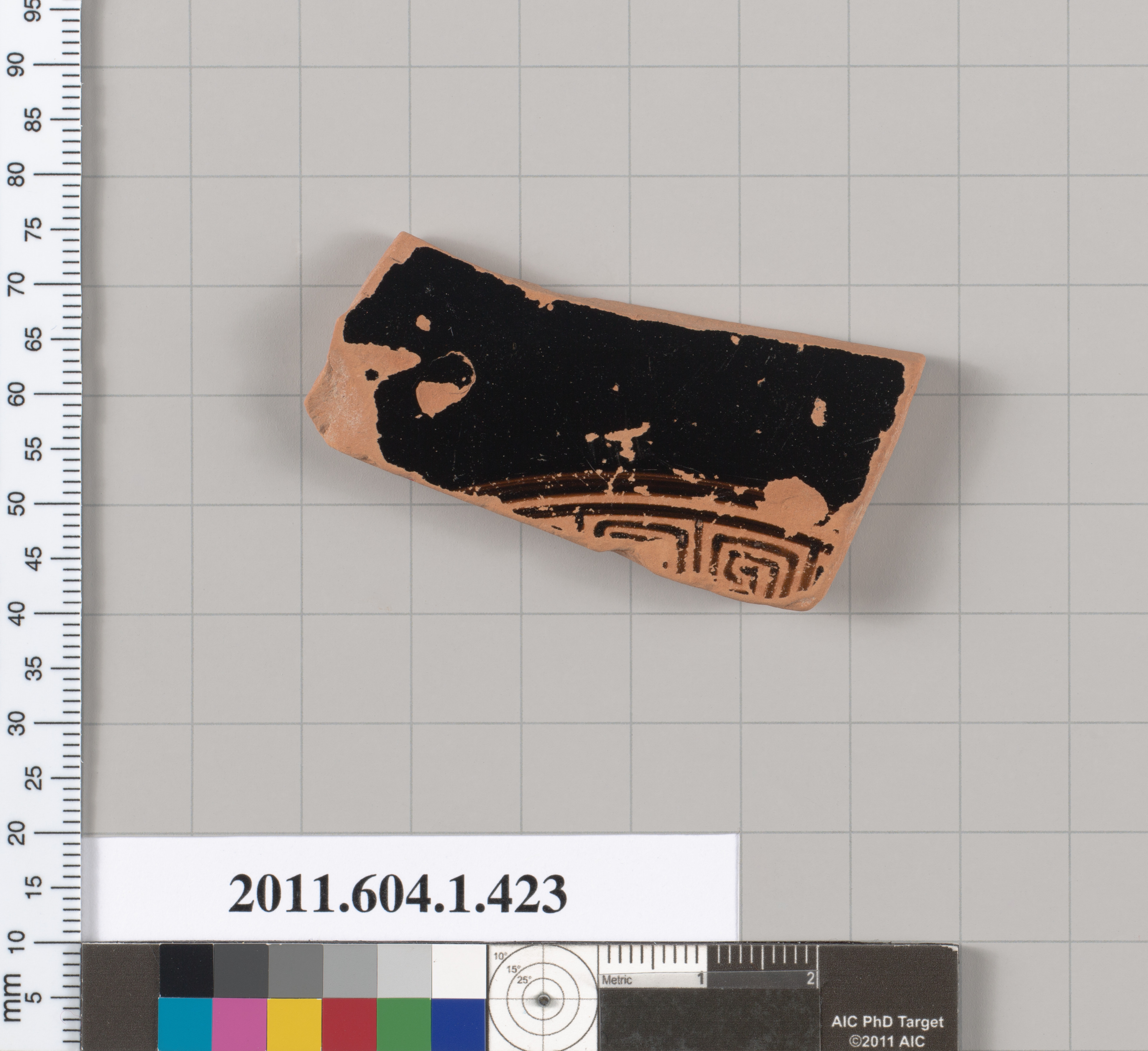 Ancient Pottery Shard