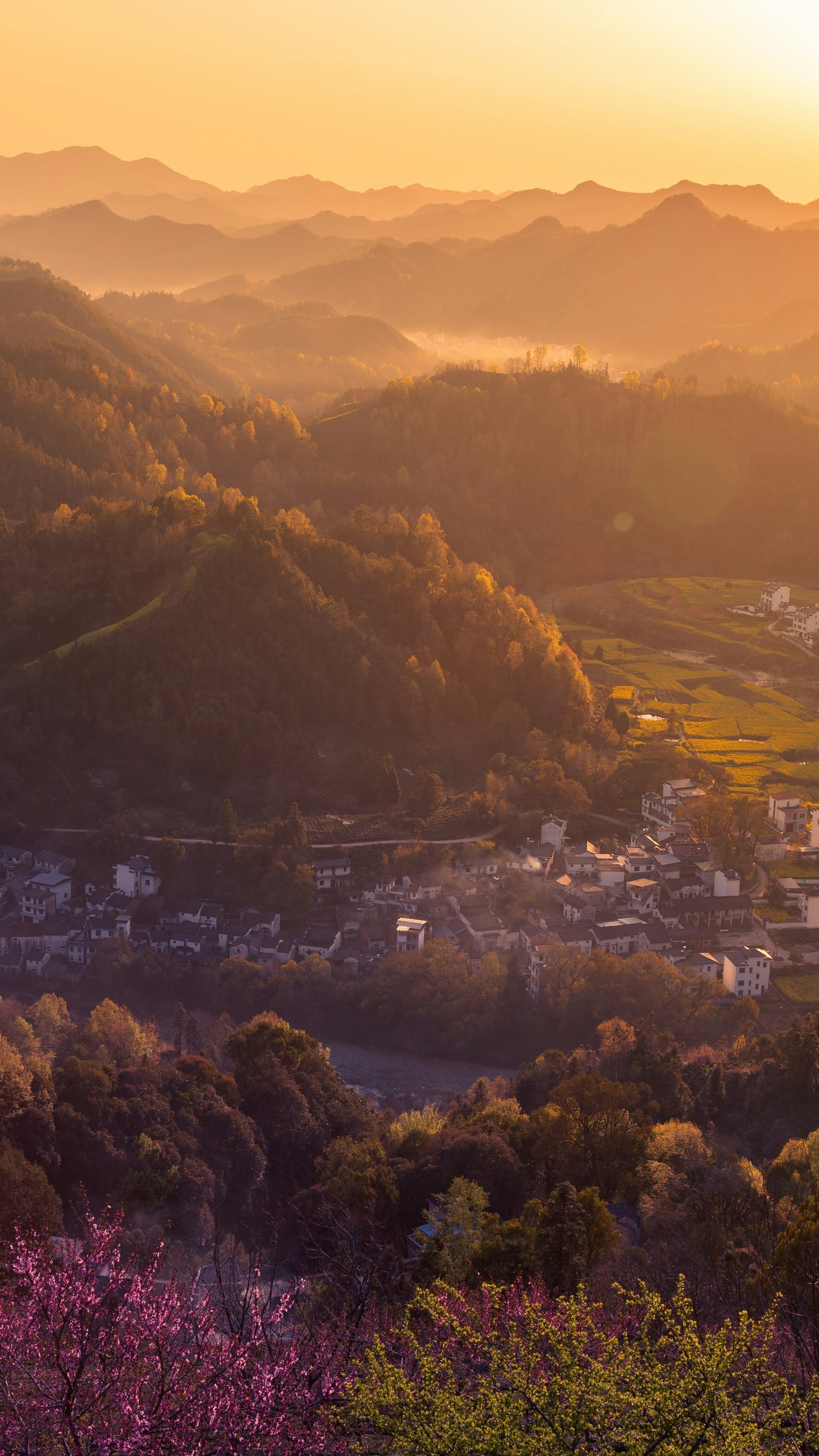 Landscapes