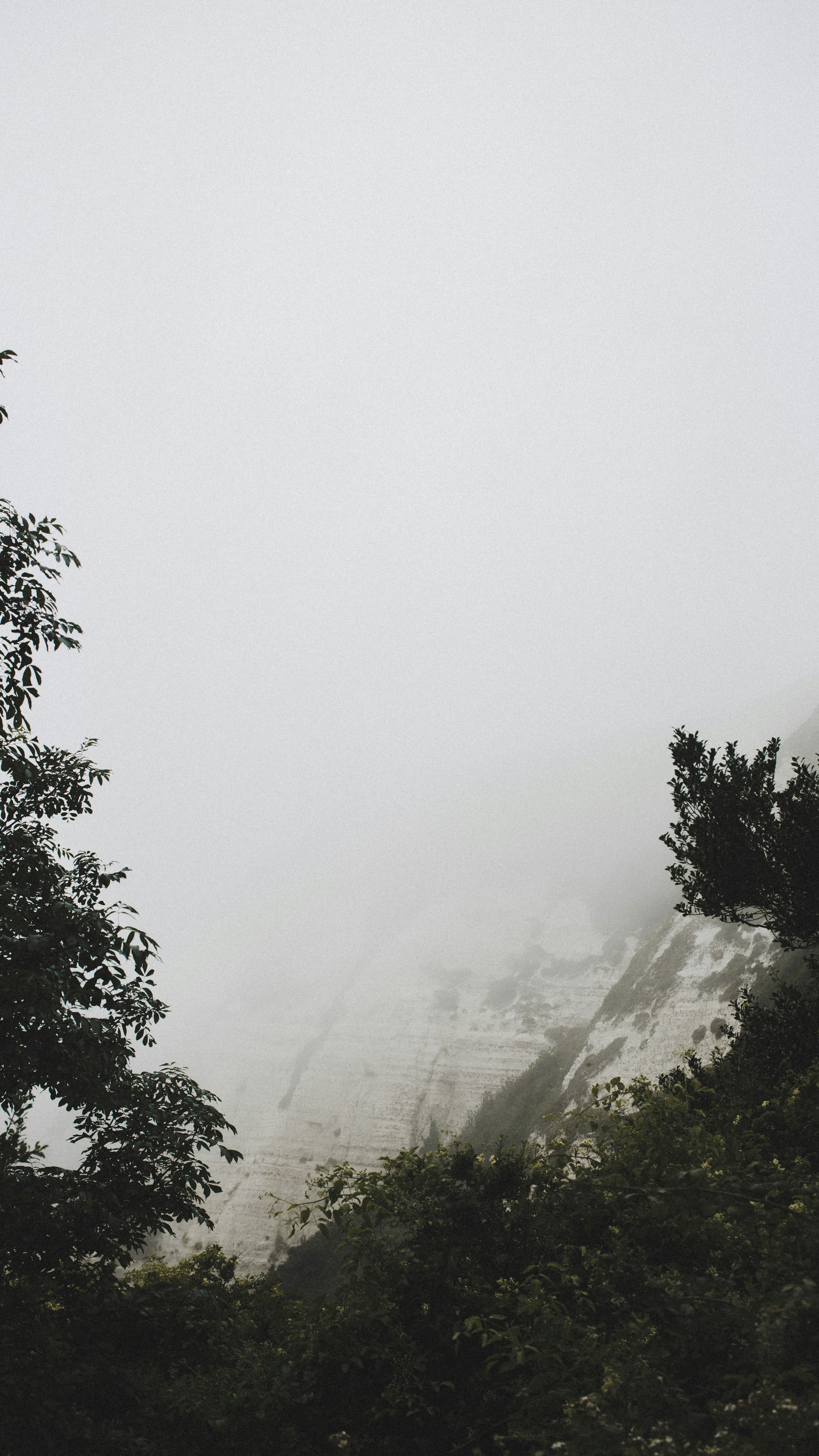 Foggy Chalk Cliffs Landscape