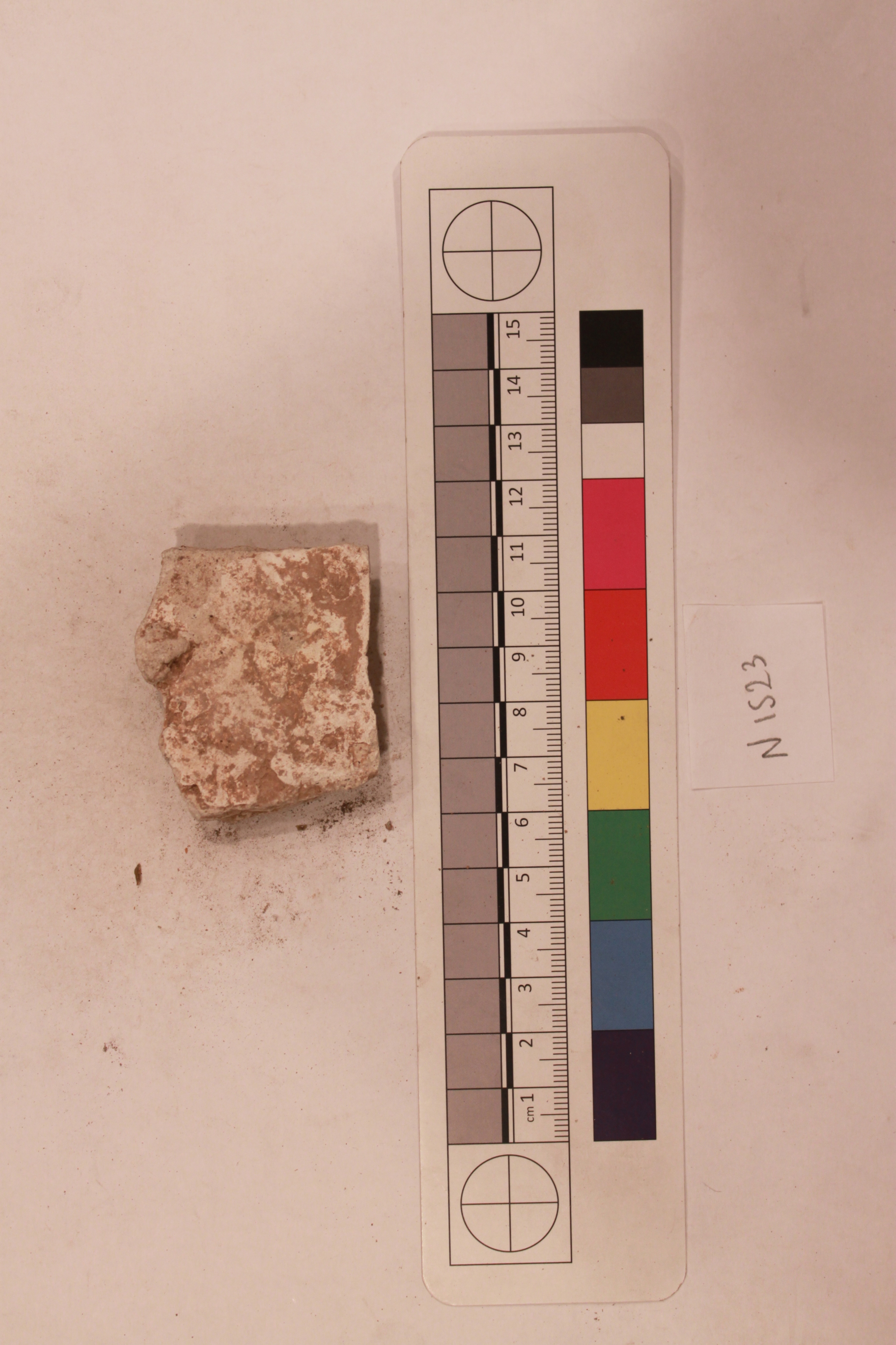 Archaeological Plaster Fragment Specimen
