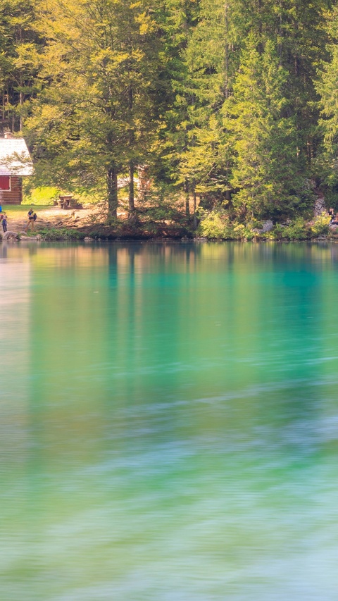 Turquoise Lake by Forested Shore