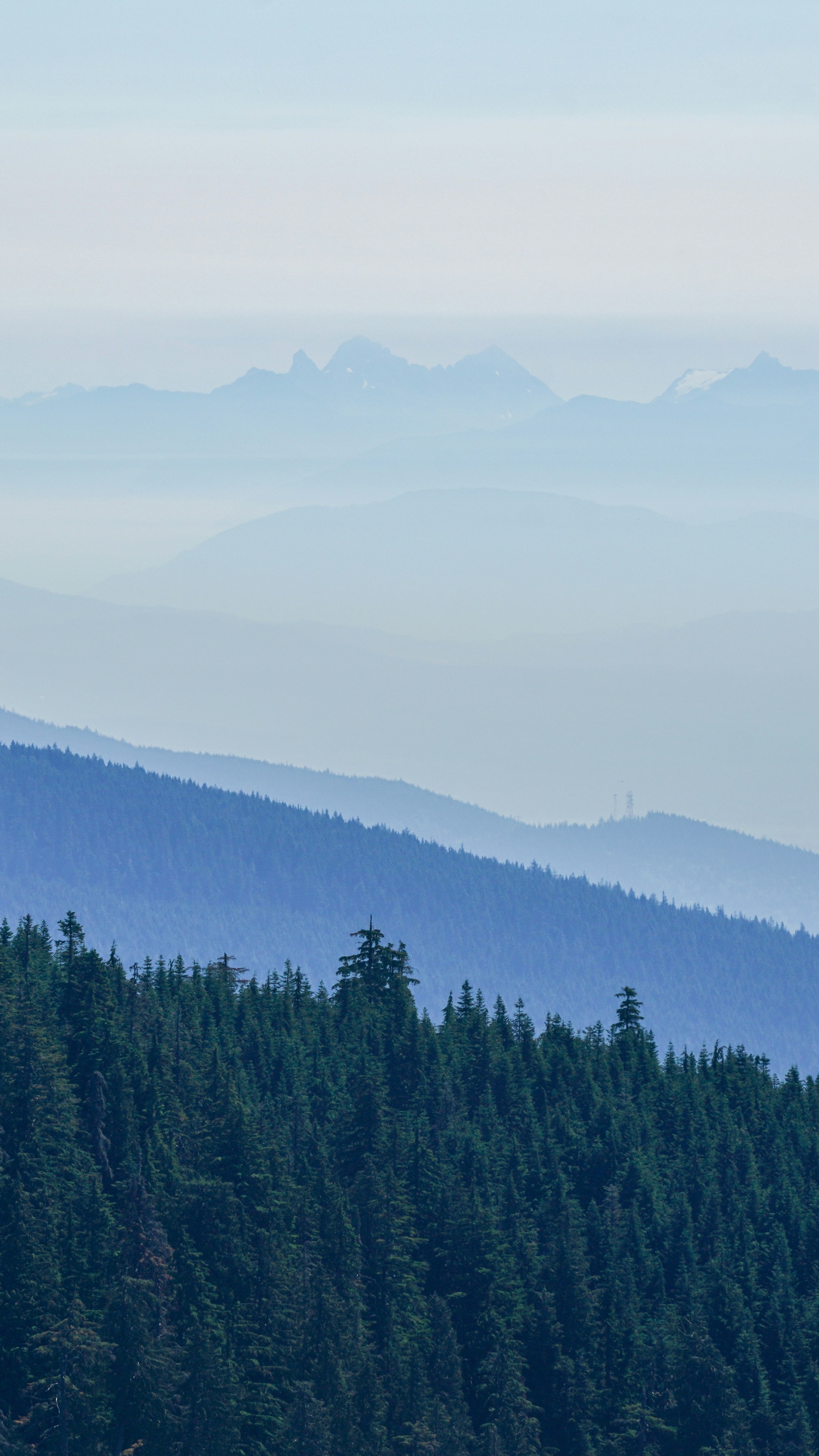 Landscapes
