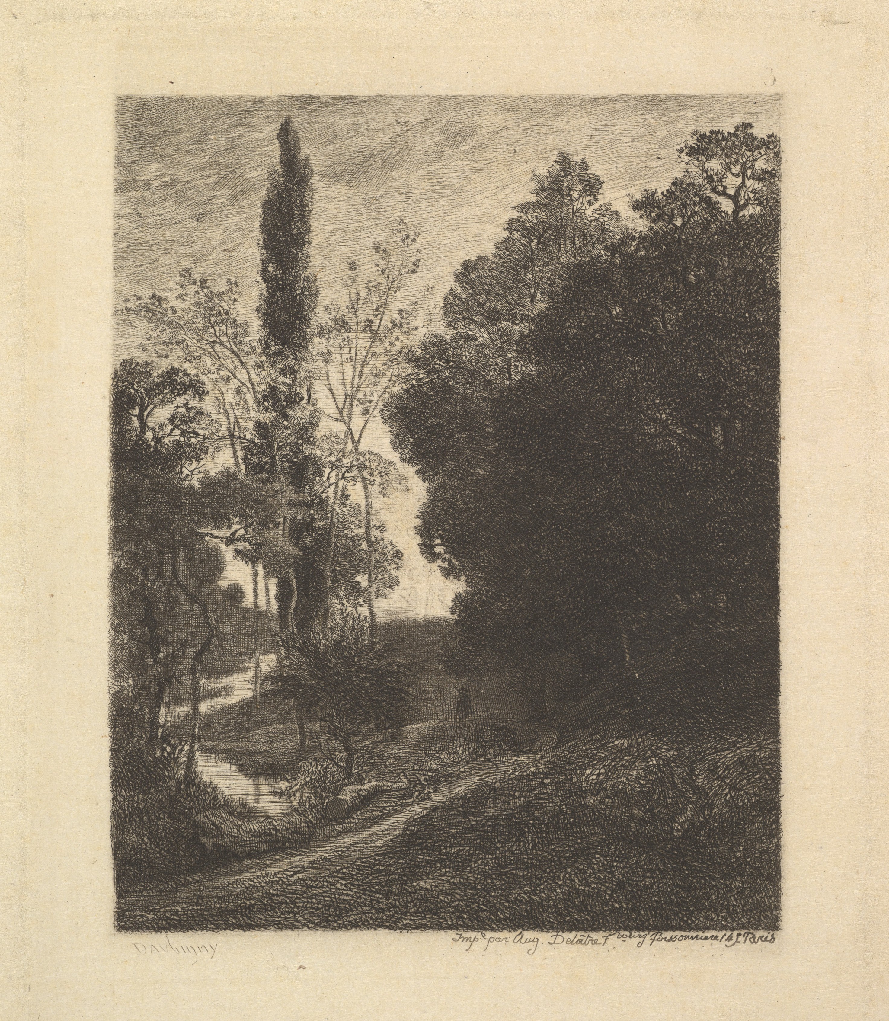 Forest River Landscape Etching