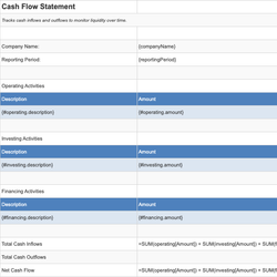 Cash Flow Statement