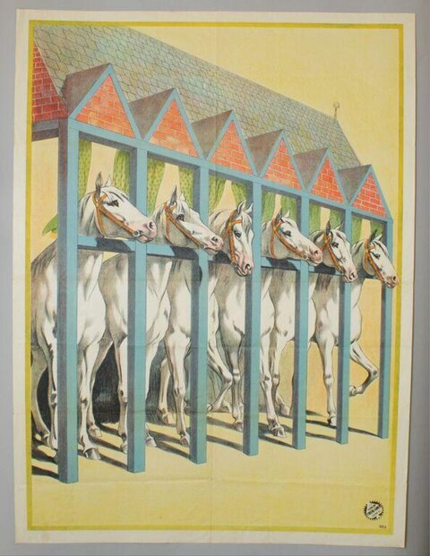 Six White Horses in Stable Stalls