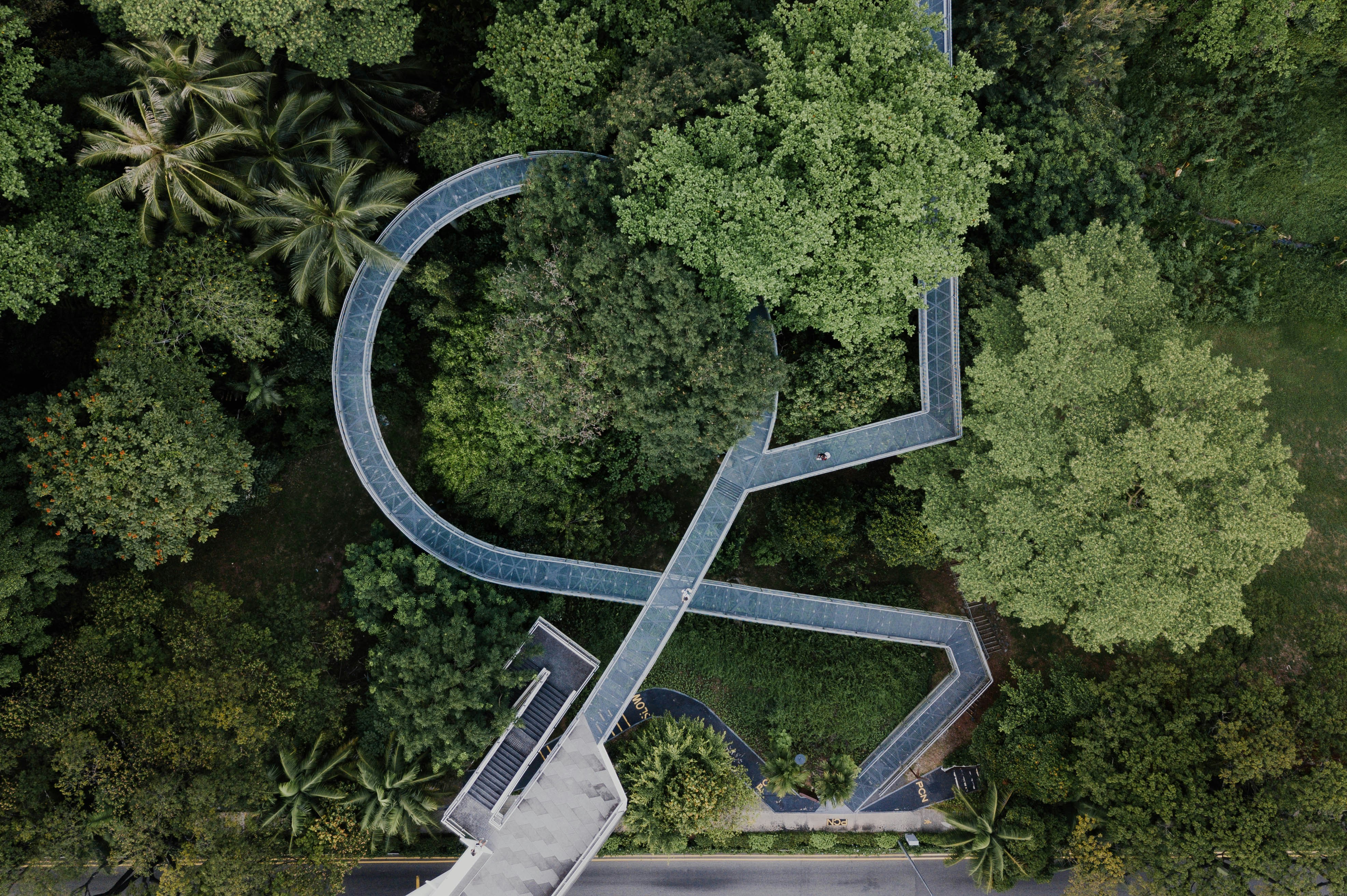 Aerial View of Forest Skywalk
