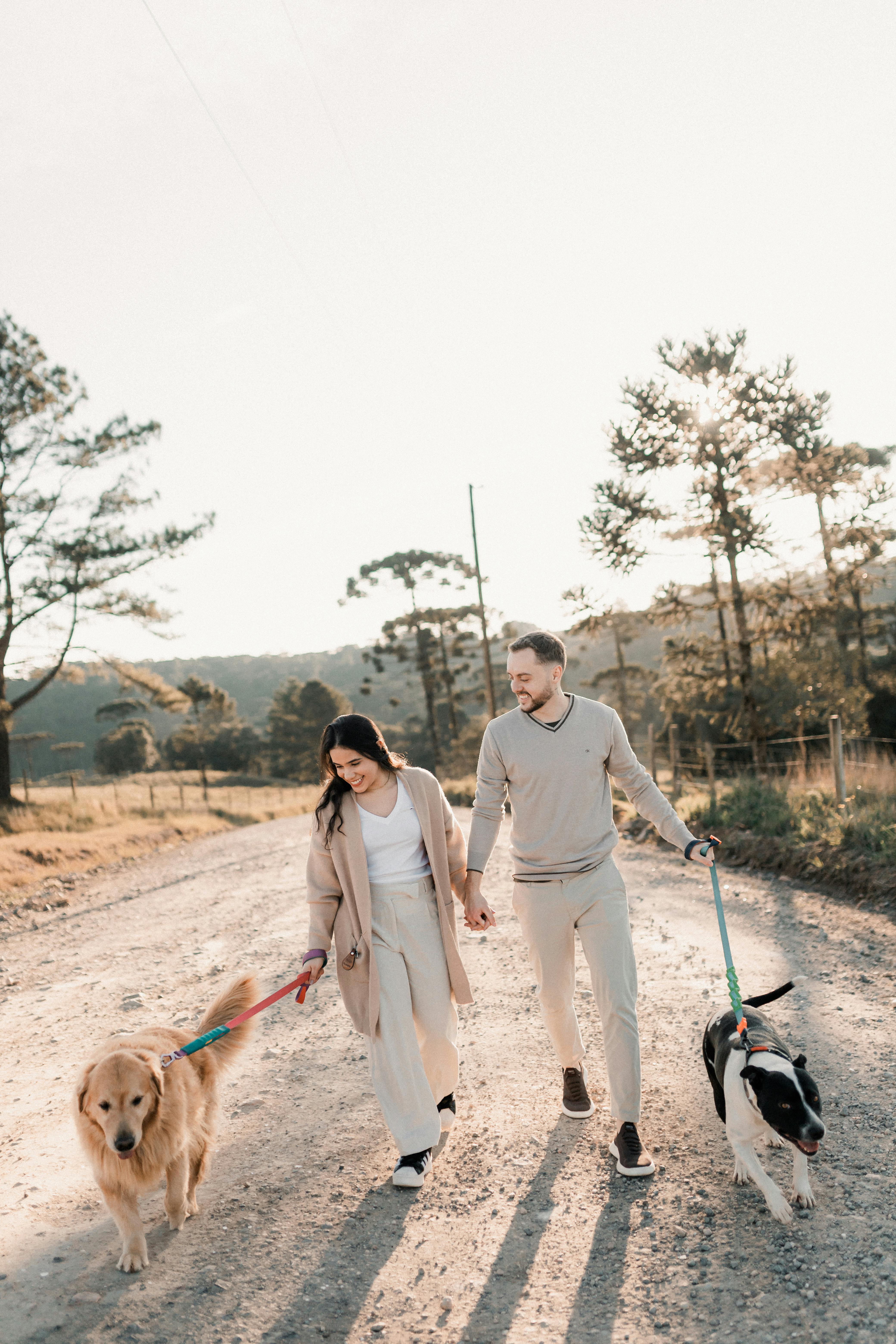 Couple Walking Two Dogs on Rural Road