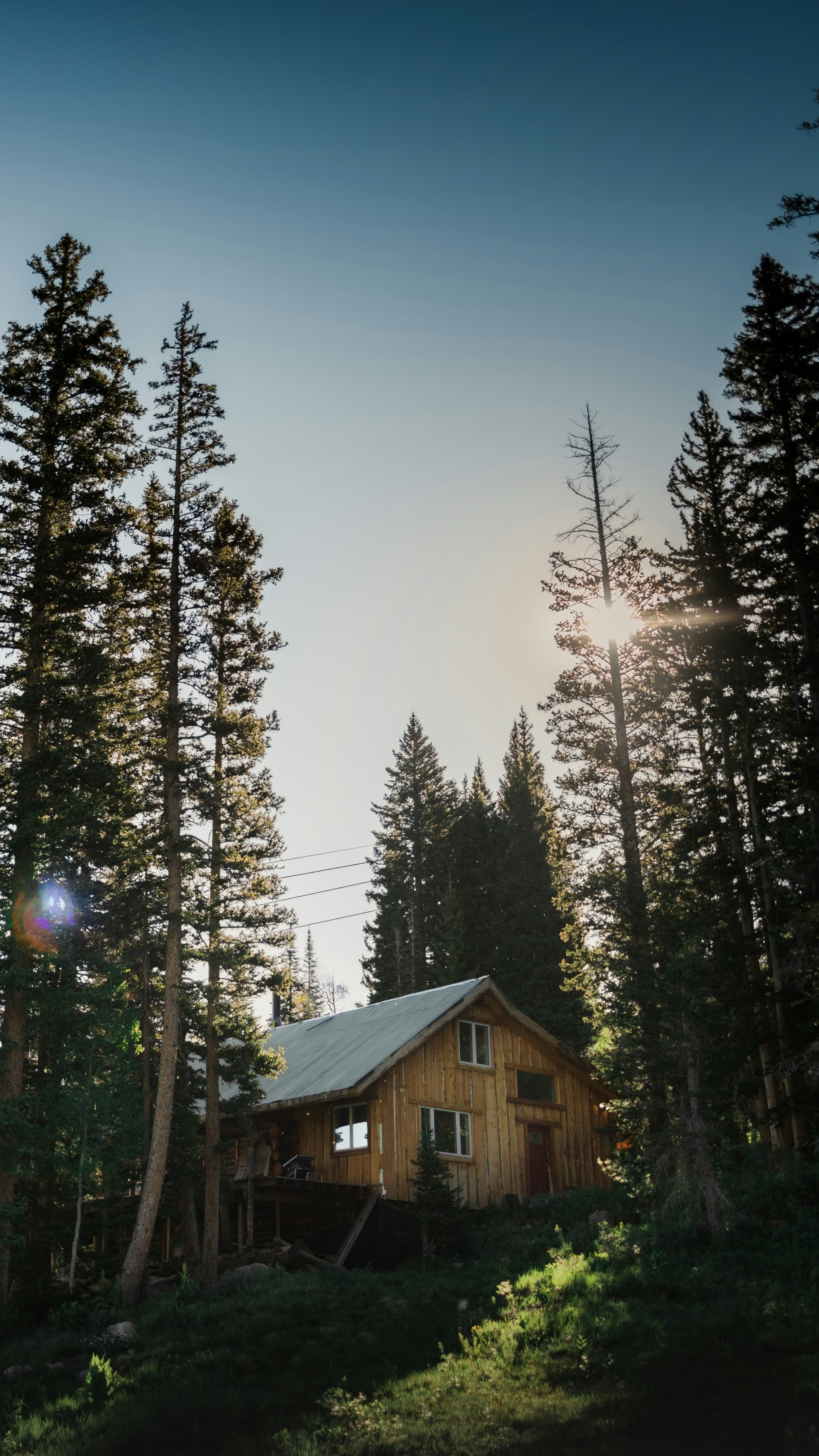 Wallpapers