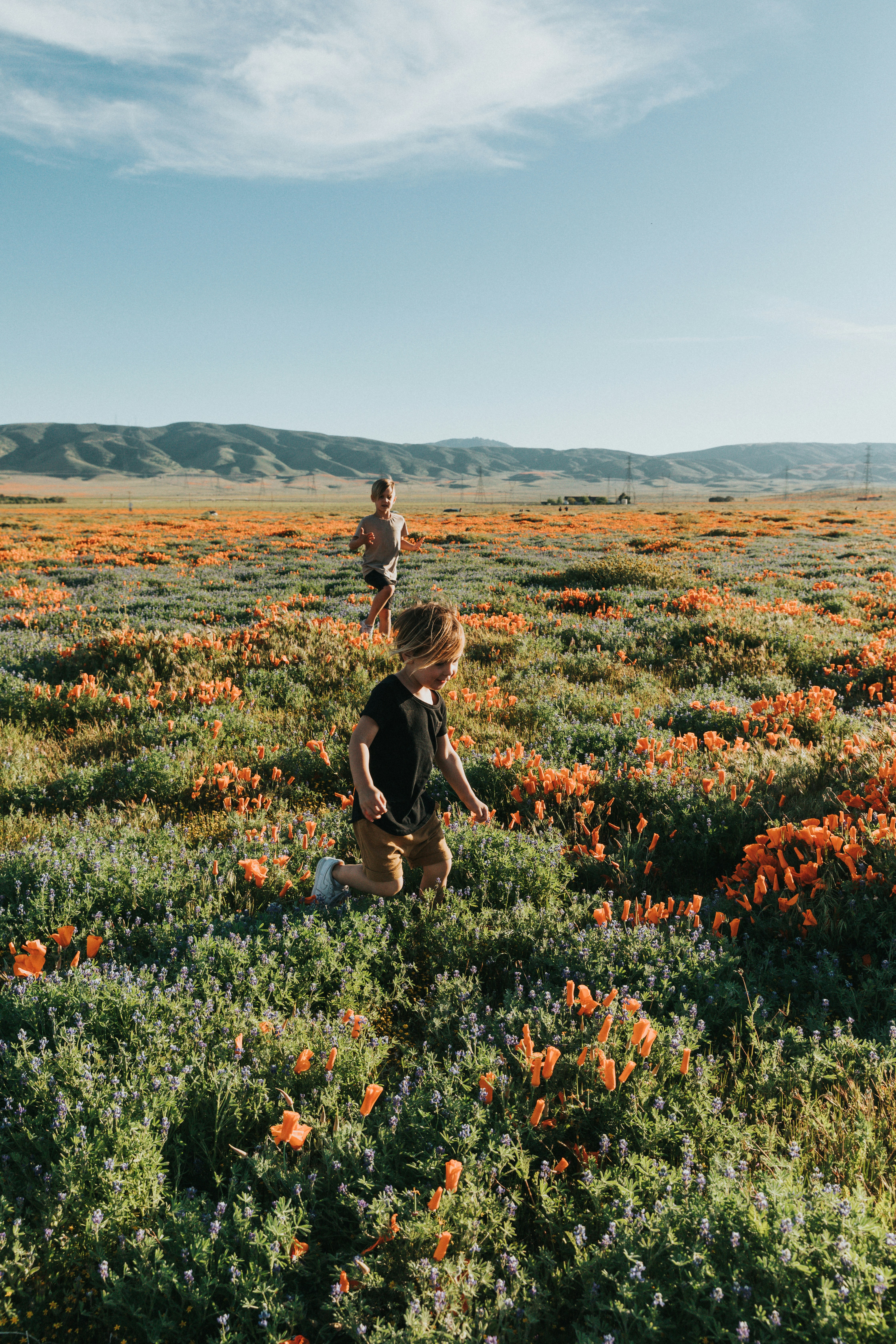 Two Kids Running Through Poppy Field