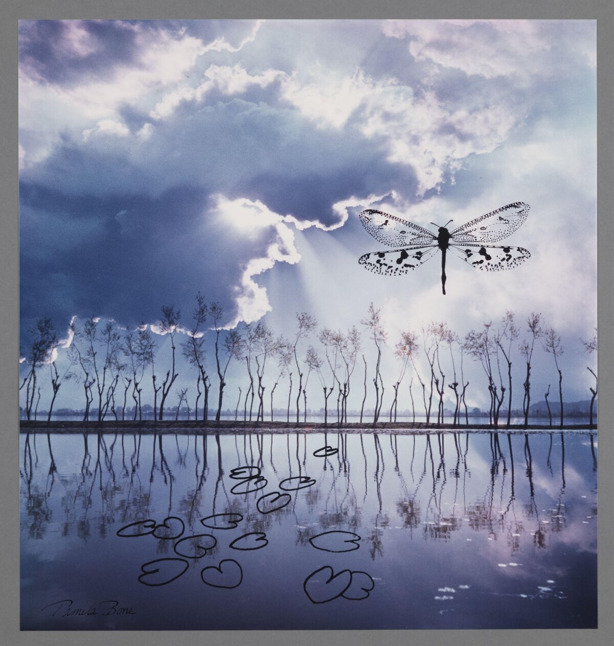 Surreal Dragonfly Lakeside Landscape