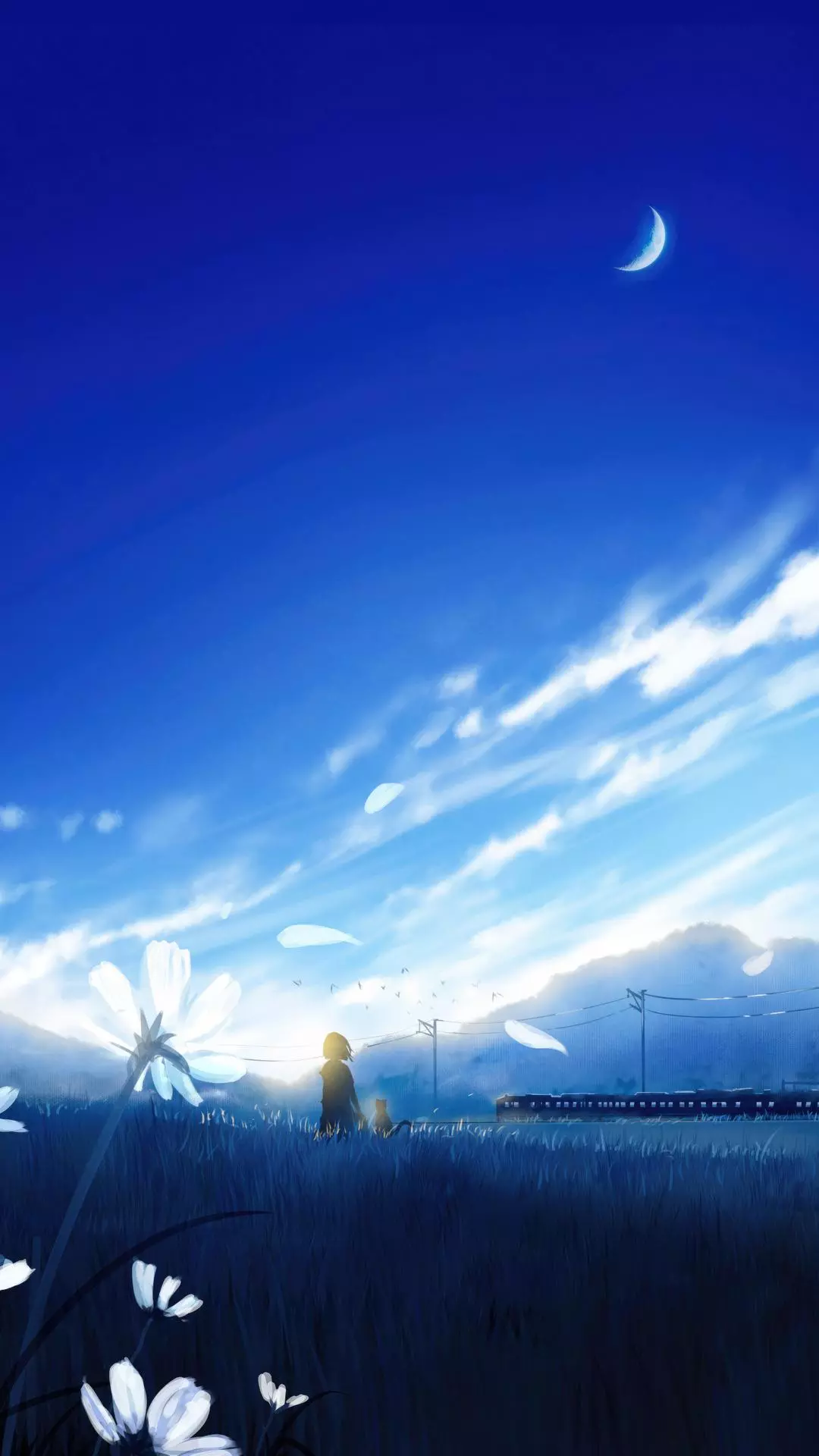 Wallpapers