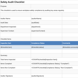 Safety Audit Checklist