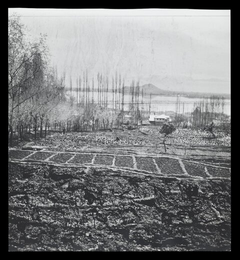 Rural Lakeside Terraced Farm Landscape