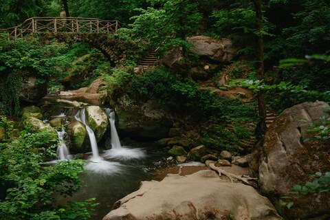 Forest Waterfall with Stone Bridge