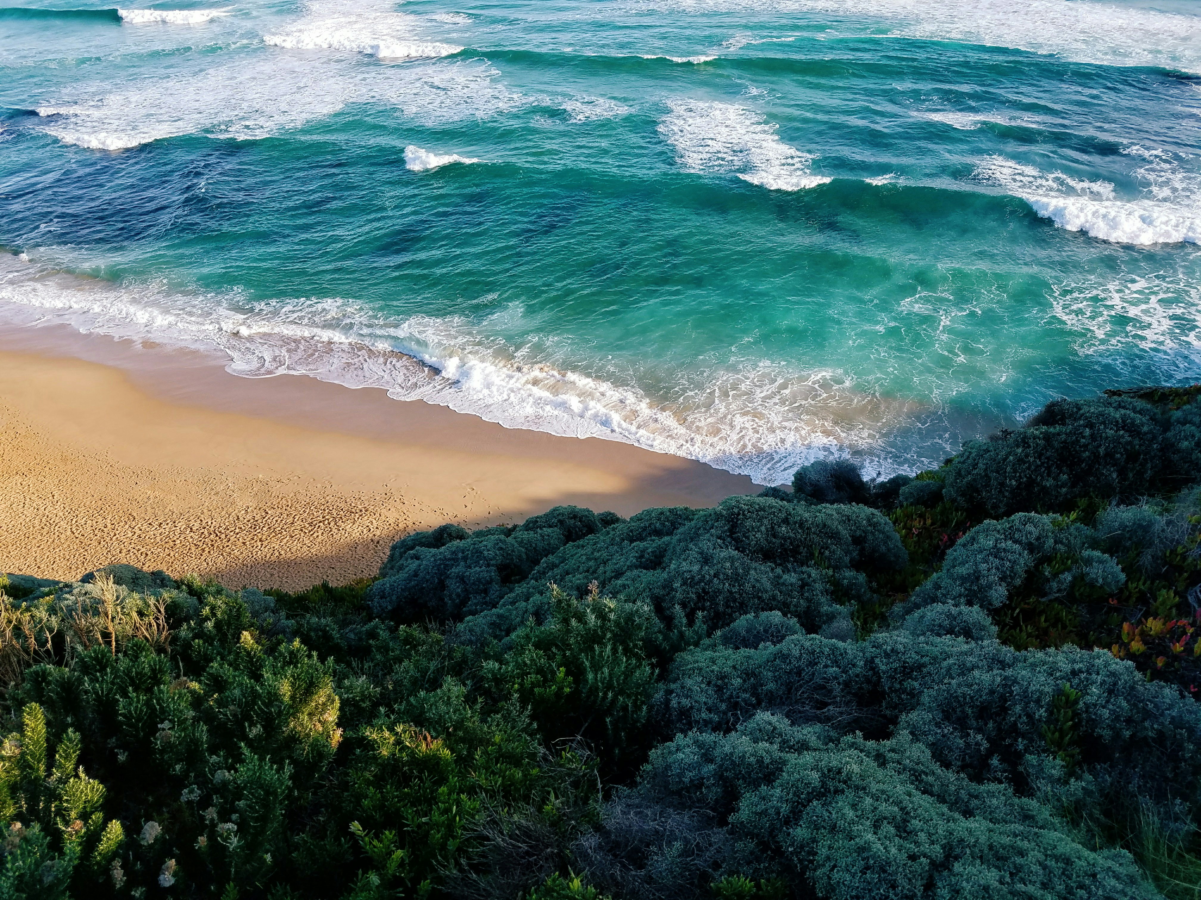 Clifftop View of Coastal Beach