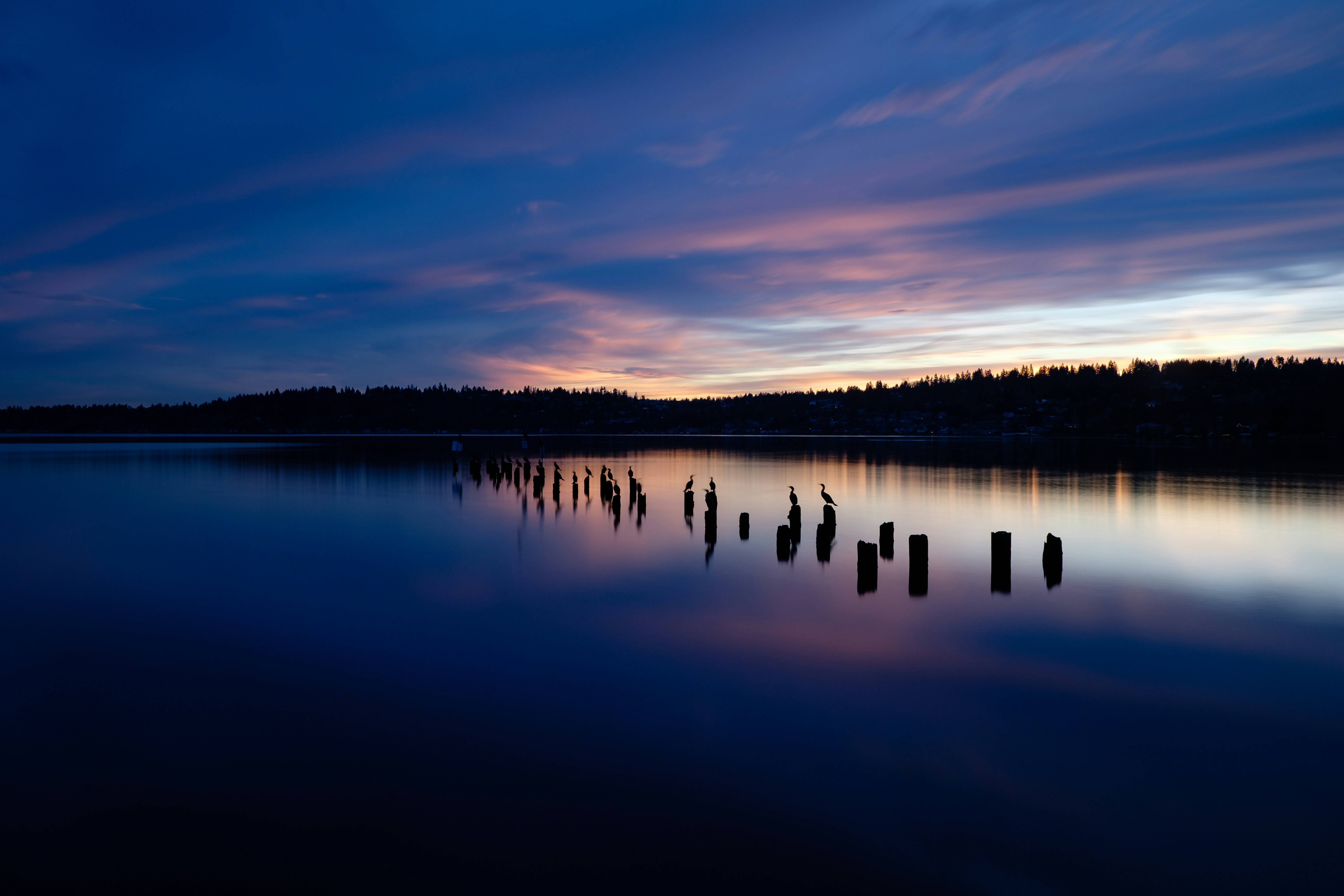 Twilight Lake with Birds on Pilings