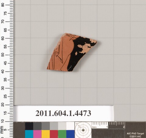 Ancient Pottery Fragment Specimen