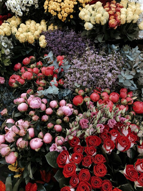 Assorted Fresh Cut Flower Display