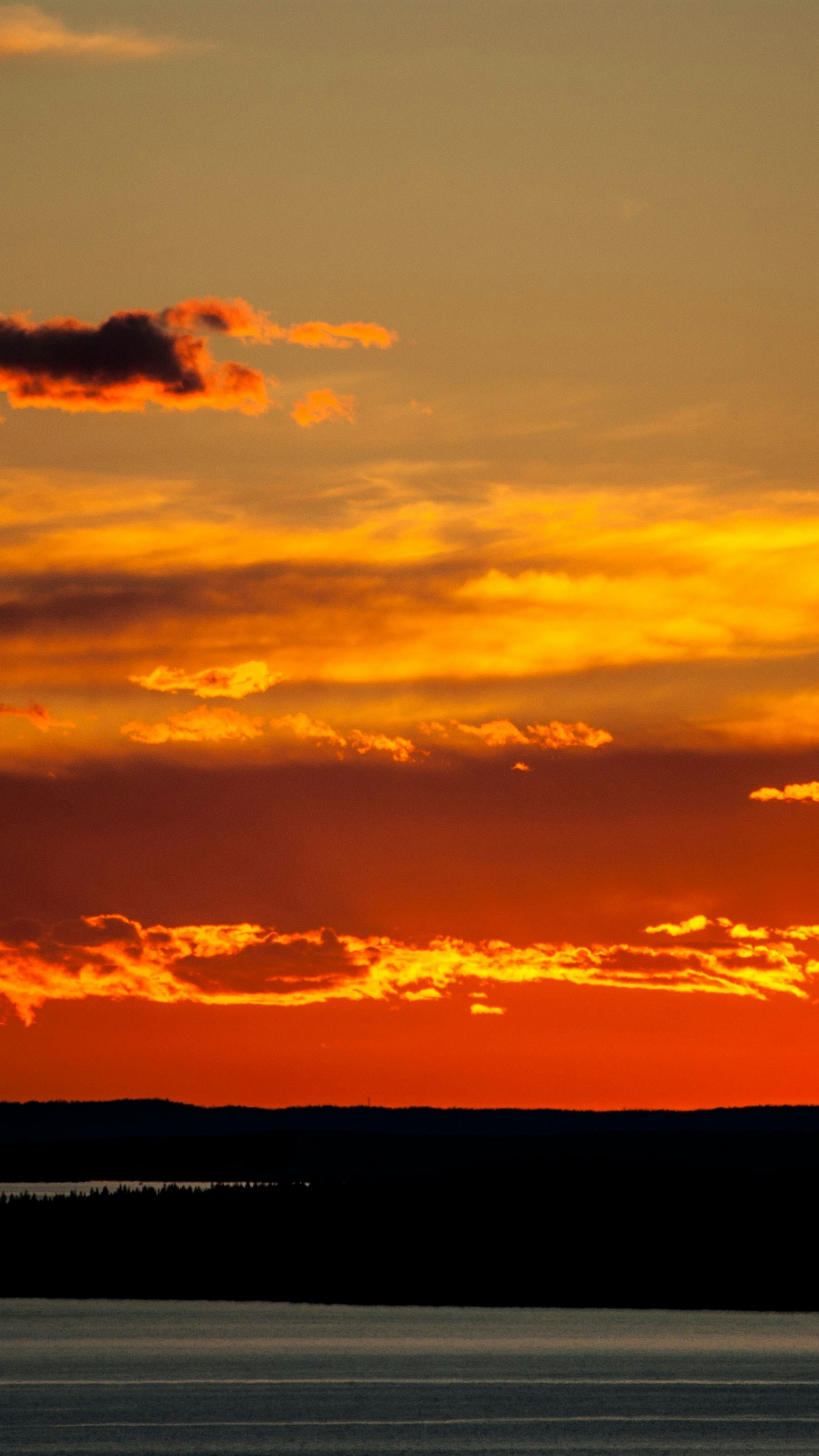 Landscapes
