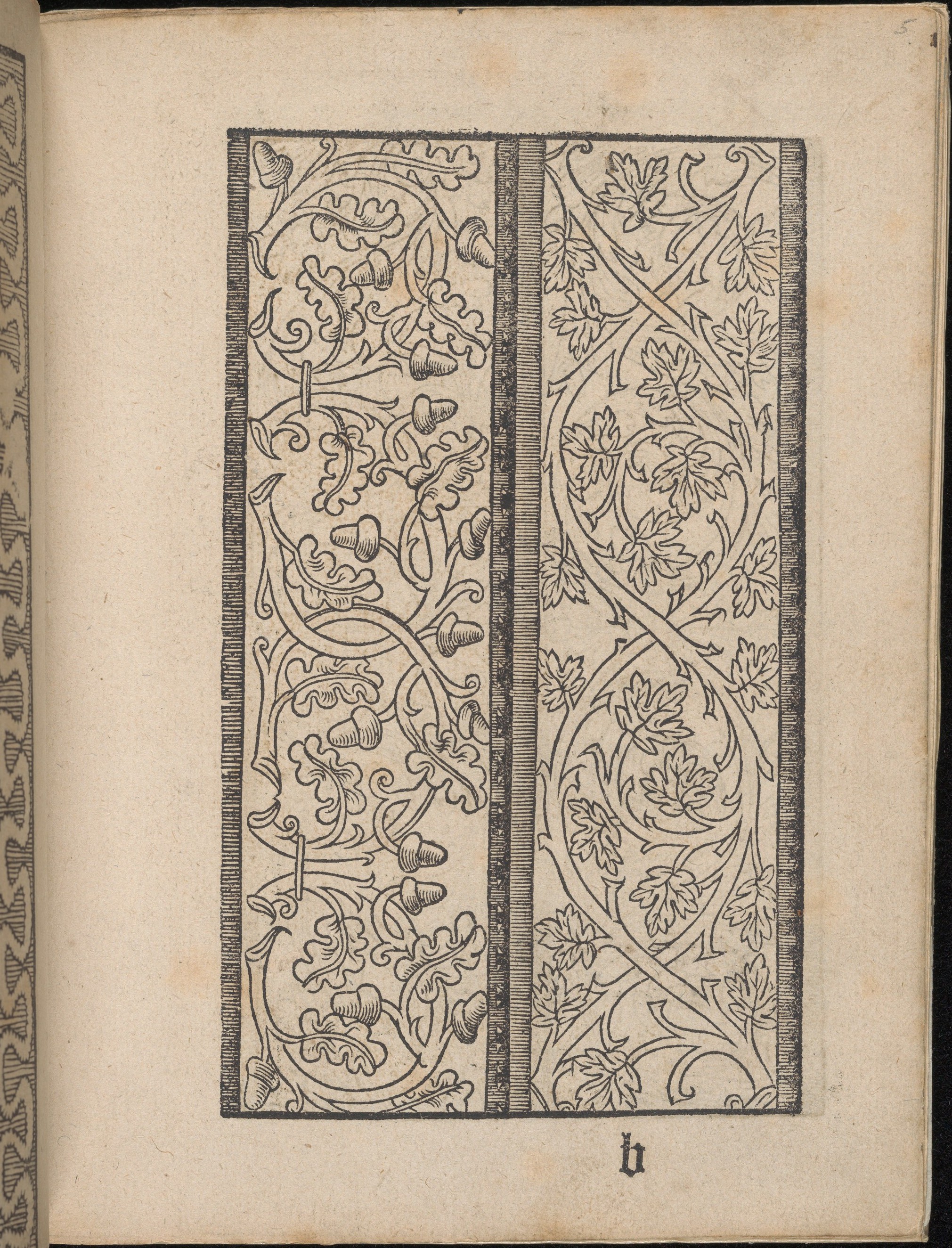 Vintage Woodcut Botanical Decorative Panel