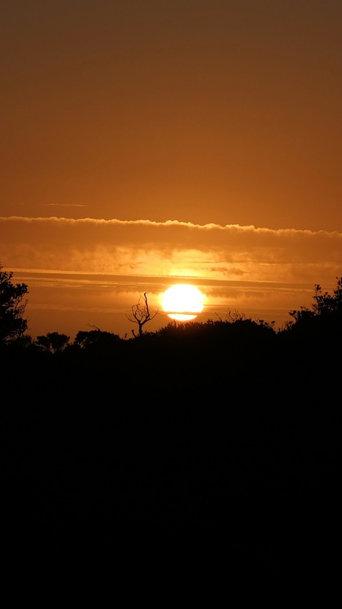 Image 1619095 — Encyclopedia