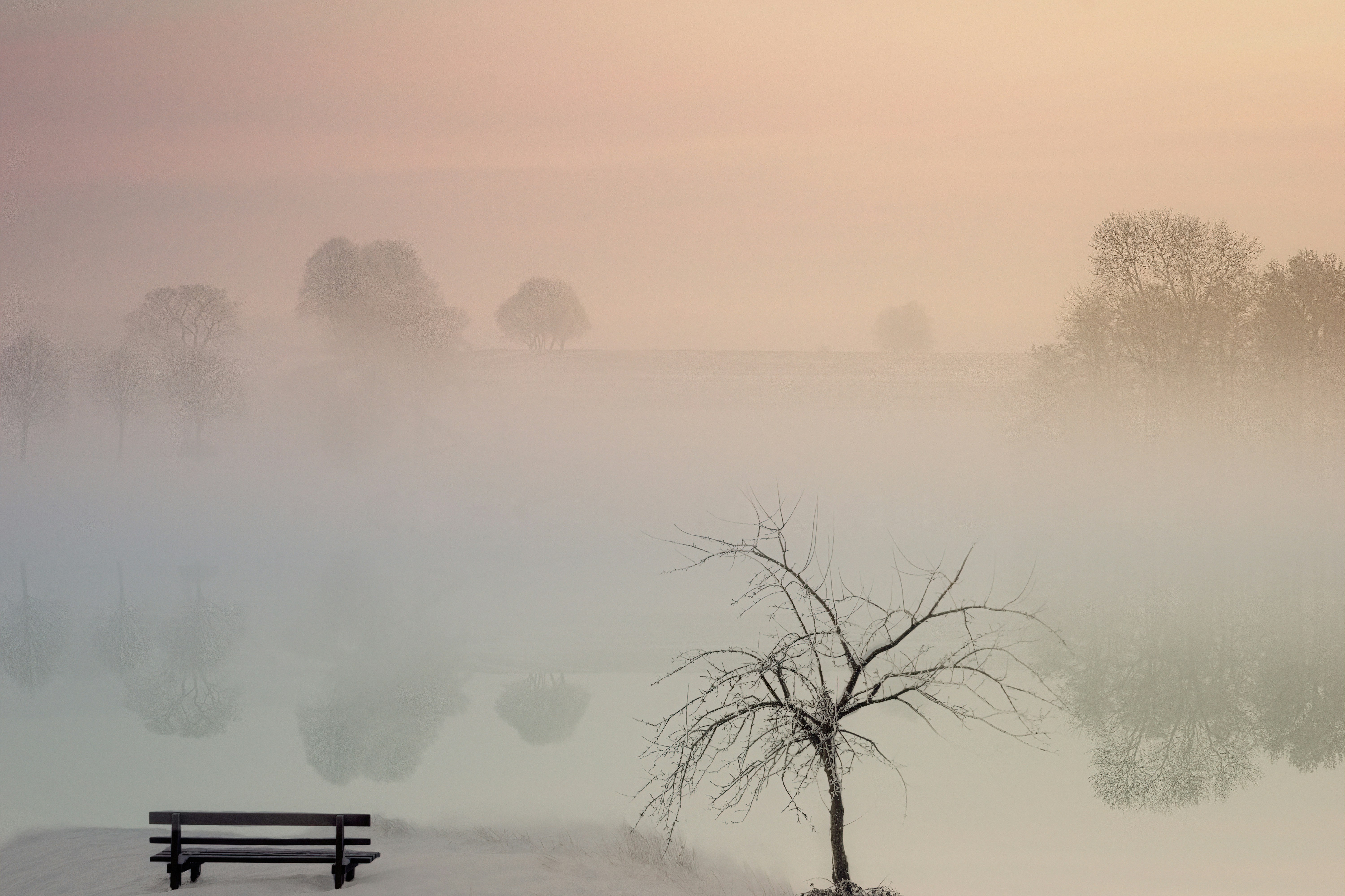 Foggy Morning Lakeside Landscape