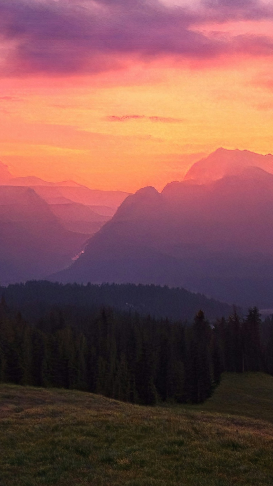 Landscapes