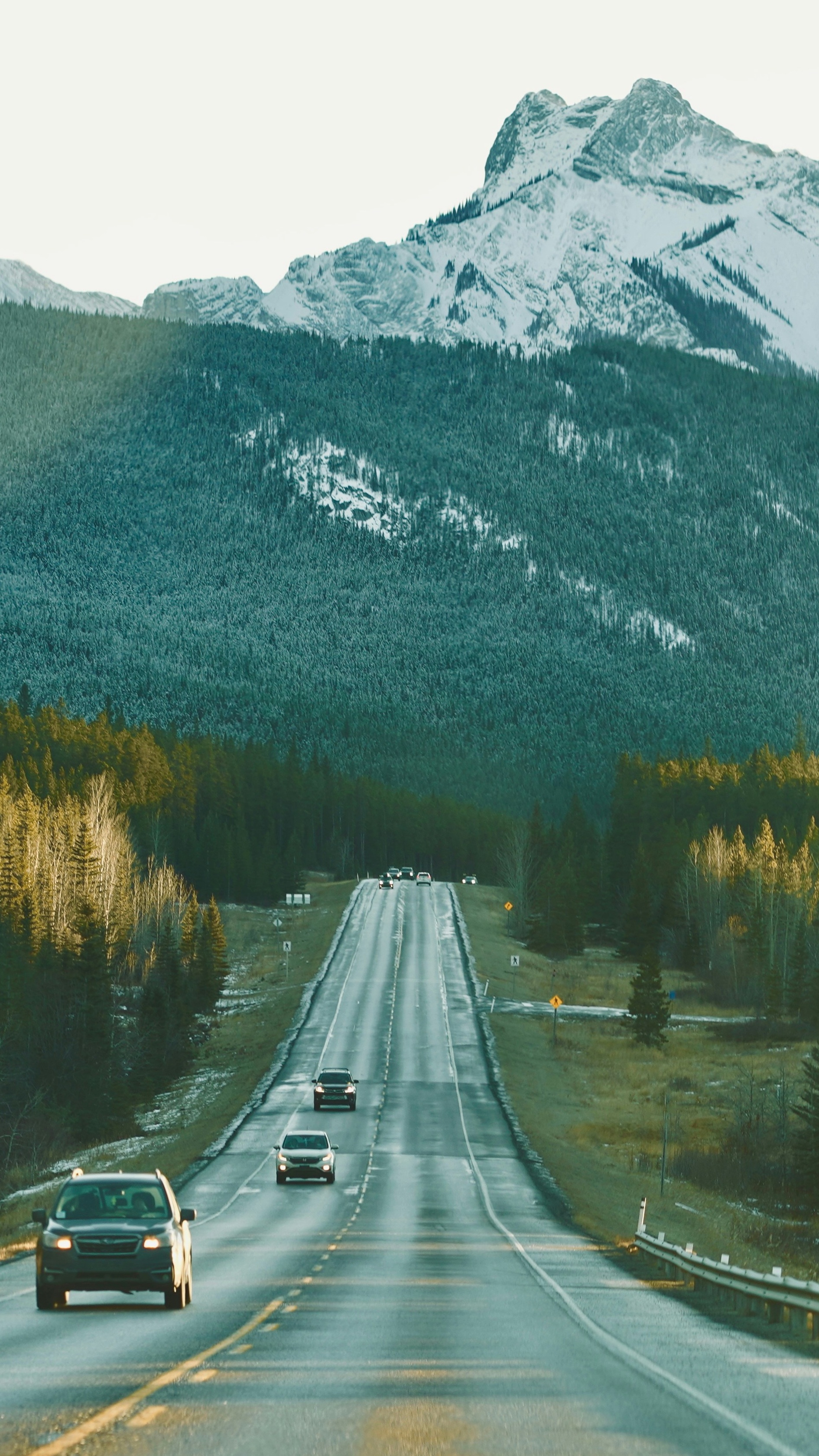 Wallpapers