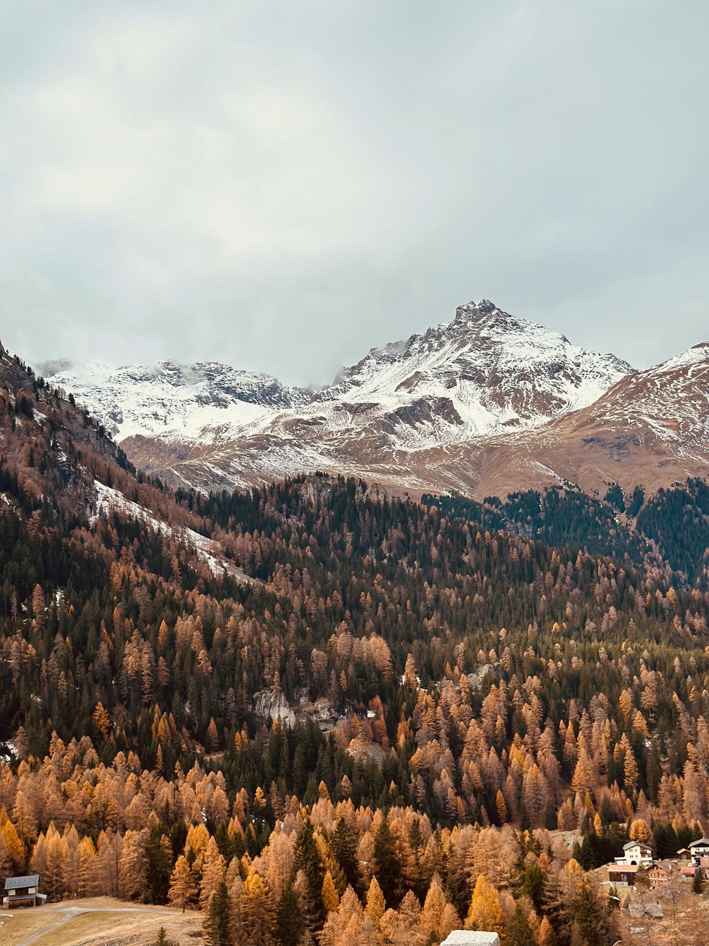 Autumn Snow-capped Alpine Mountain Landscape
