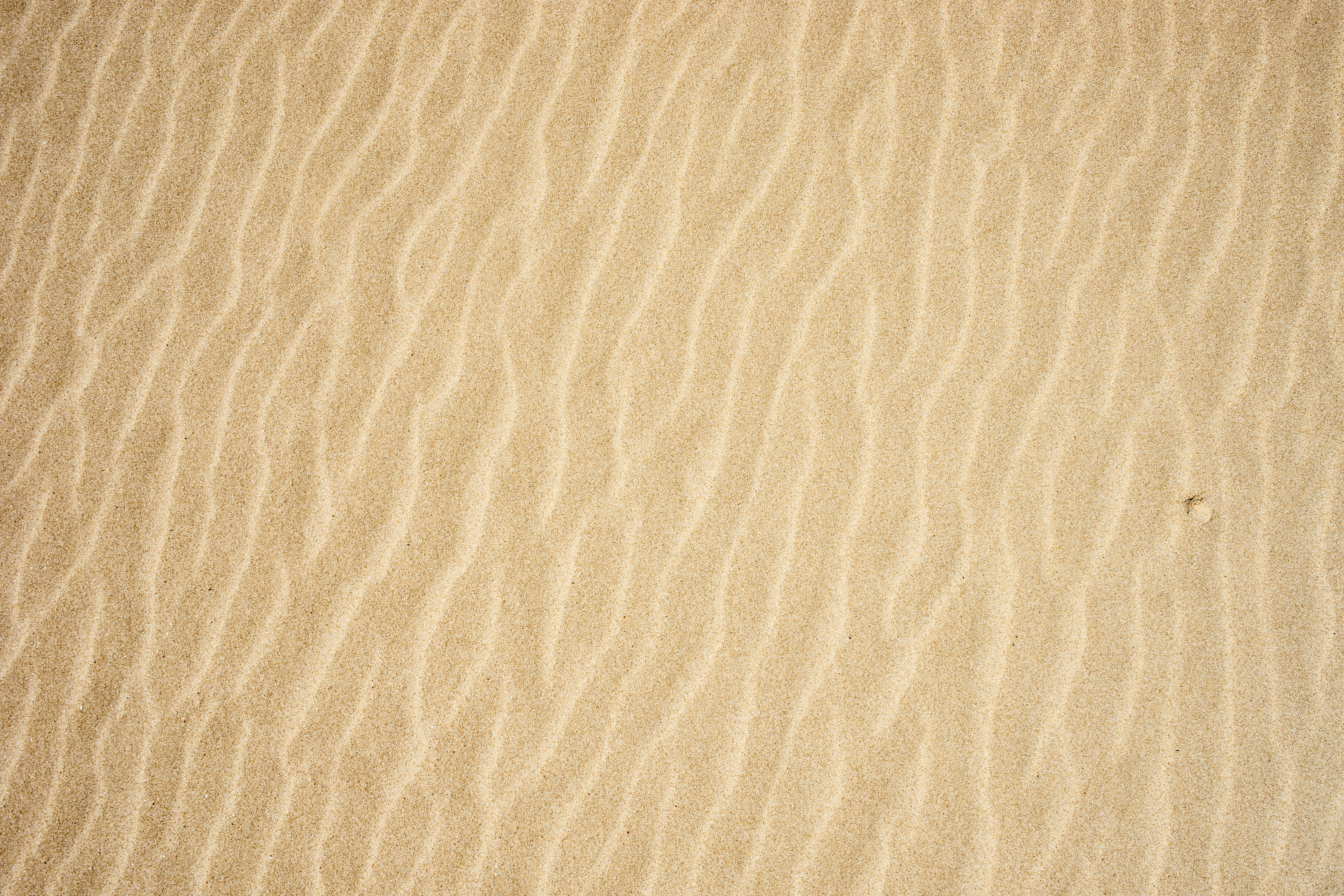 Rippled Natural Sand Surface