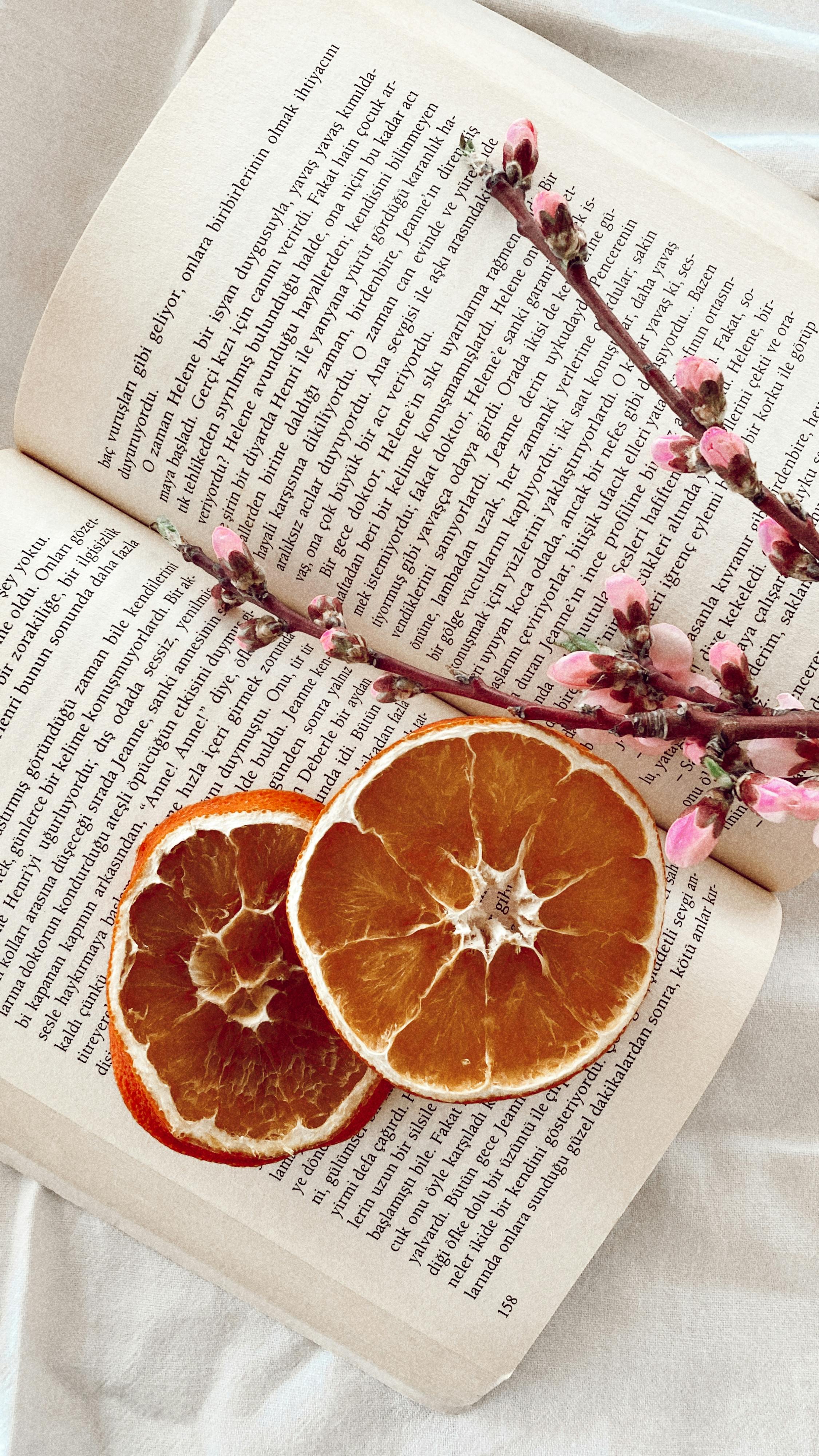 Image 1396884 — Images